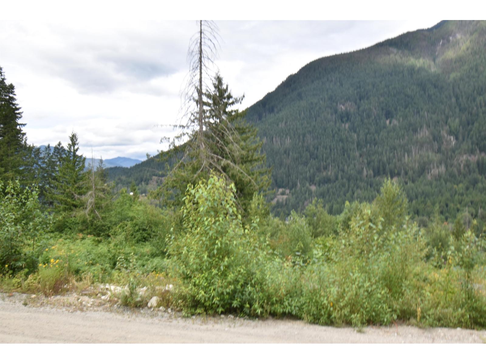 66412 Othello Road, Hope, Hope, British Columbia  V0X 1L1 - Photo 8 - R3142186