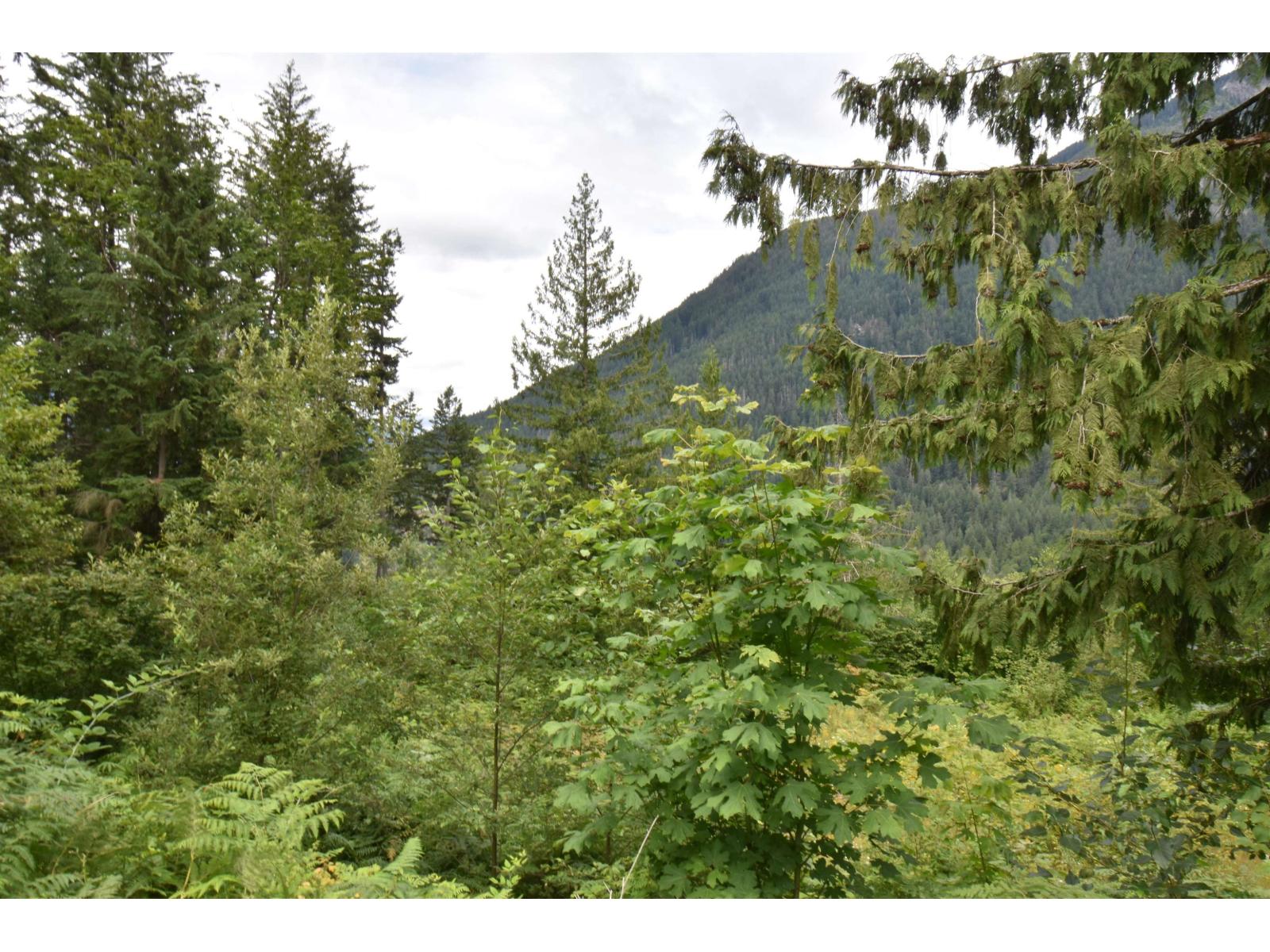 66412 Othello Road, Hope, Hope, British Columbia  V0X 1L1 - Photo 10 - R3142186