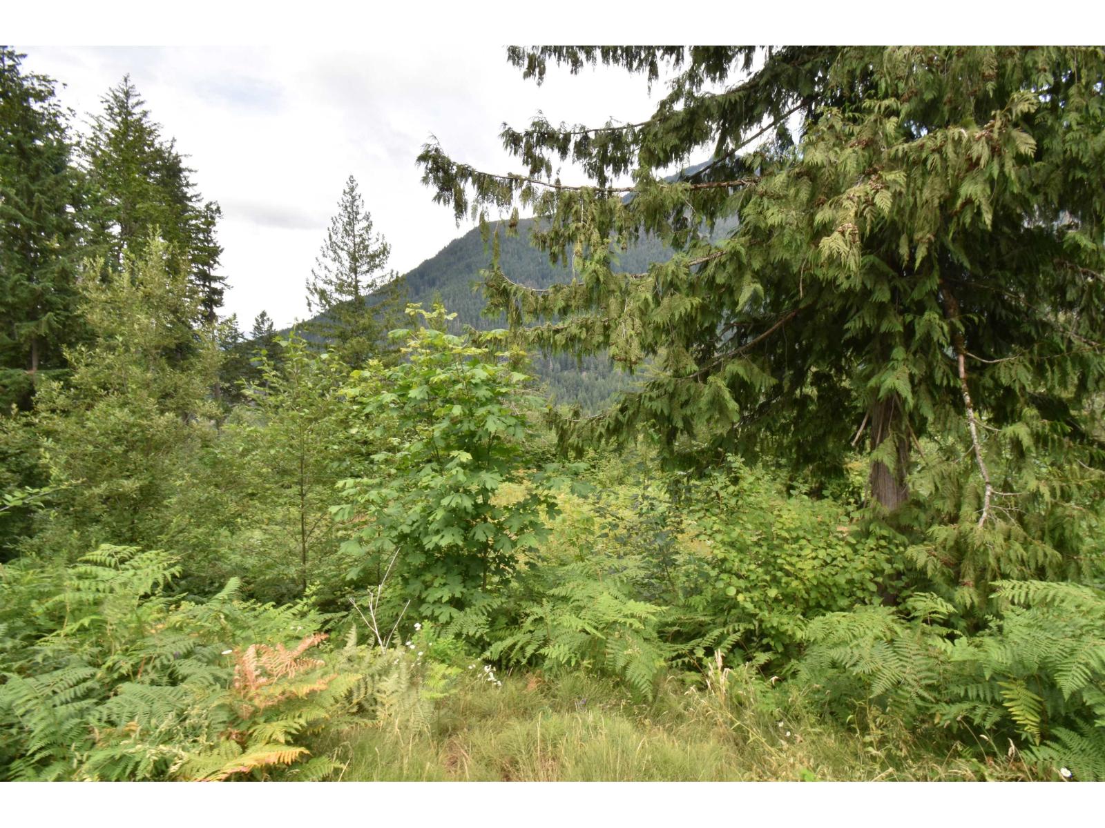 66412 Othello Road, Hope, Hope, British Columbia  V0X 1L1 - Photo 11 - R3142186
