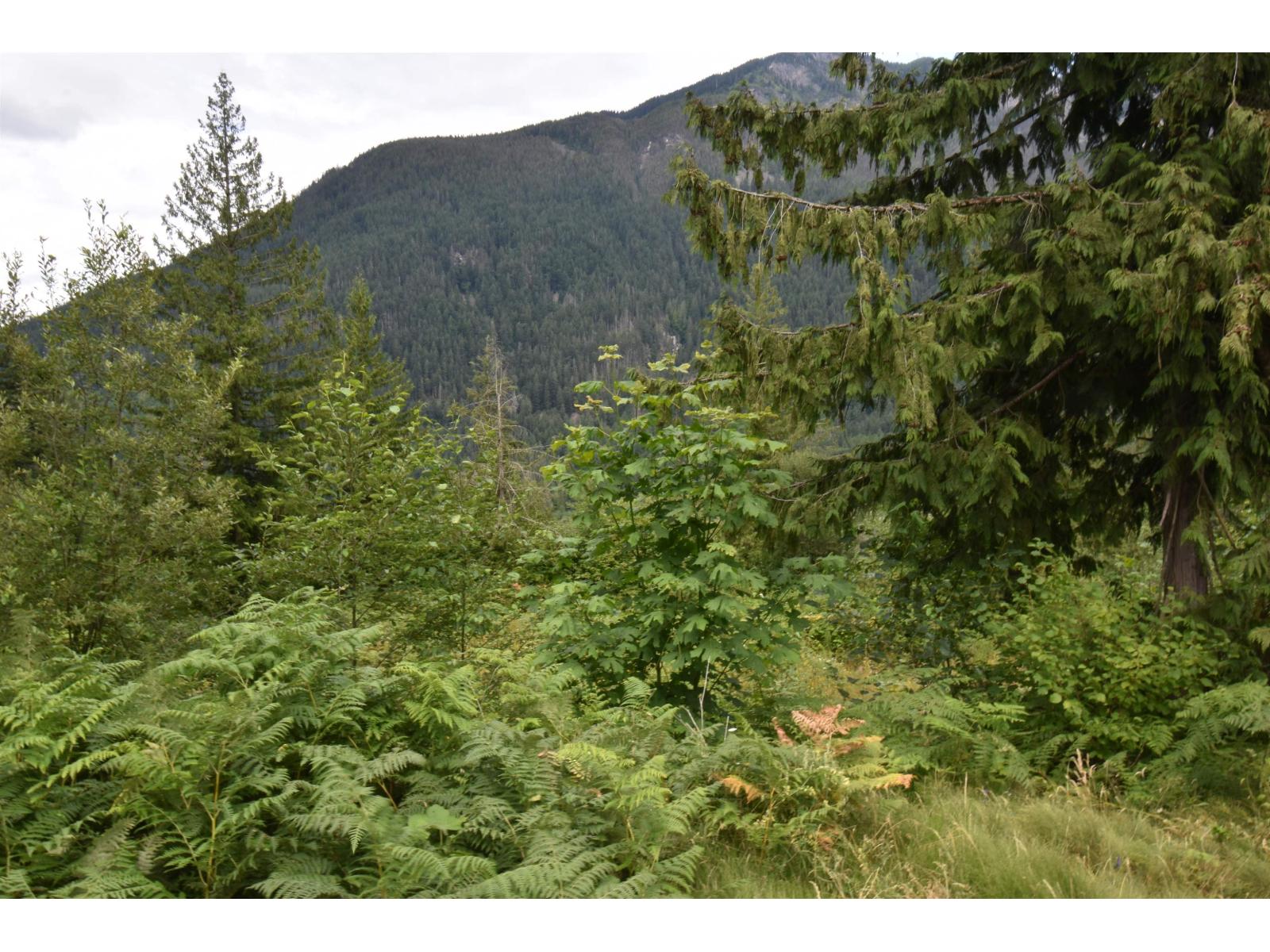 66412 Othello Road, Hope, Hope, British Columbia  V0X 1L1 - Photo 9 - R3142186