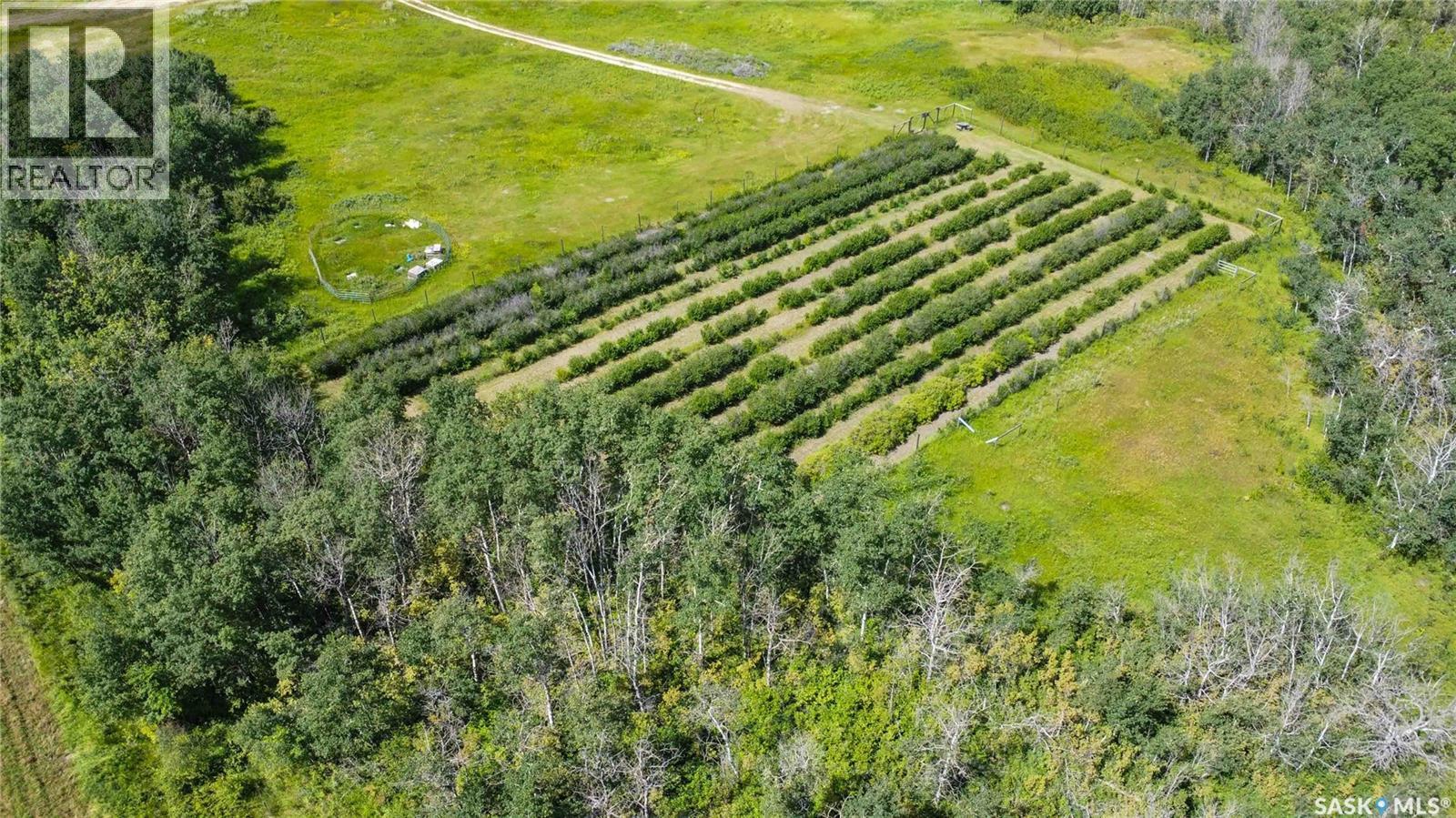 Corman Park River View 63 Acres, North Saskatchewan River, Saskatchewan  S0K 2L0 - Photo 4 - SK045322