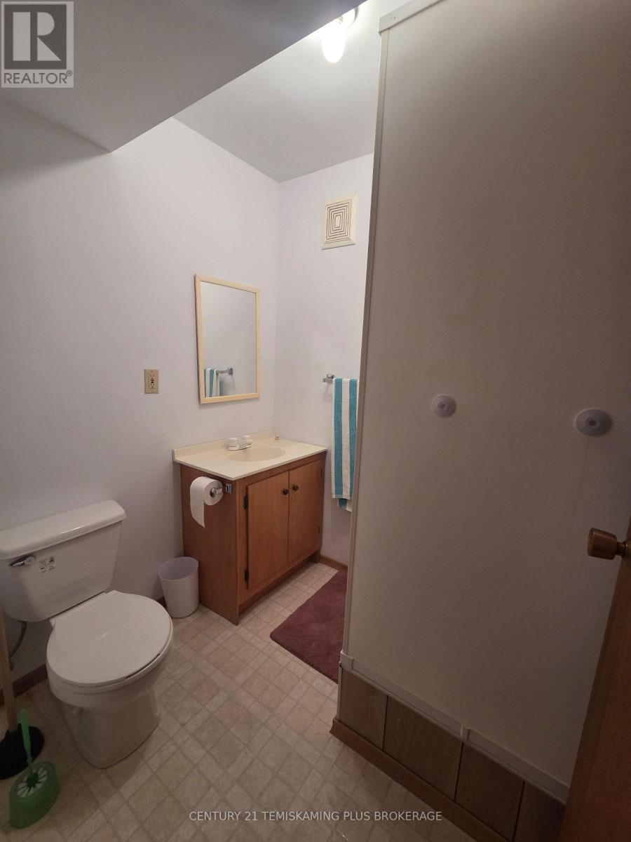125 4th Avenue, Englehart, Ontario  P0J 1H0 - Photo 32 - T13667928