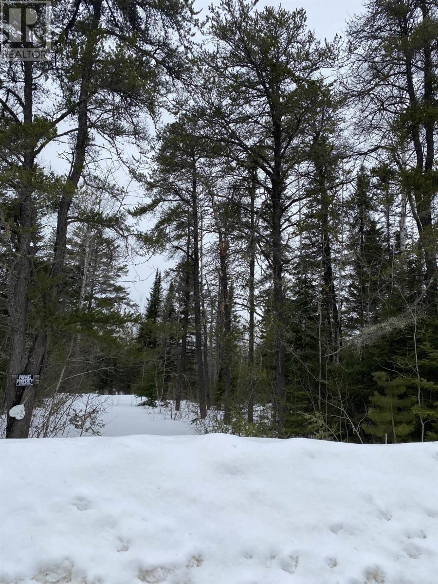 925 Hwy 593, Pardee Township, Ontario  P7L 0A2 - Photo 9 - TB253690