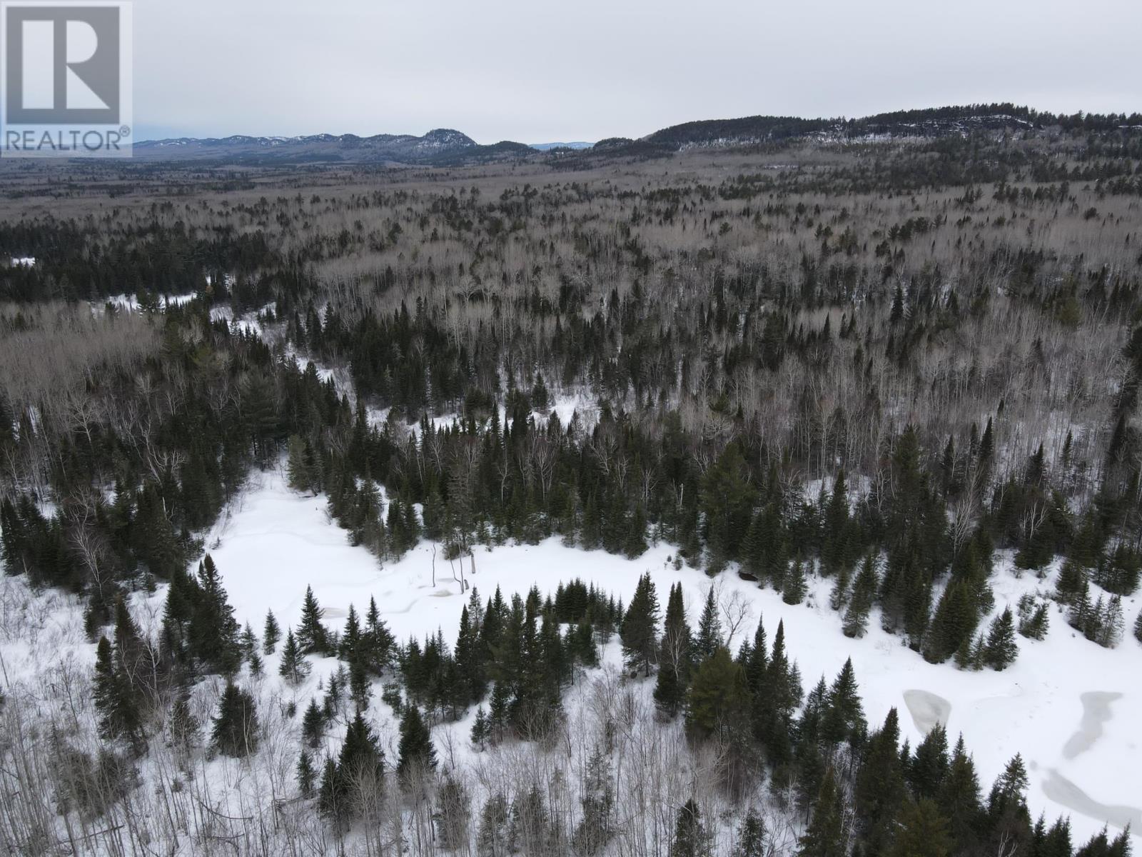 925 Hwy 593, Pardee Township, Ontario  P7L 0A2 - Photo 10 - TB253690