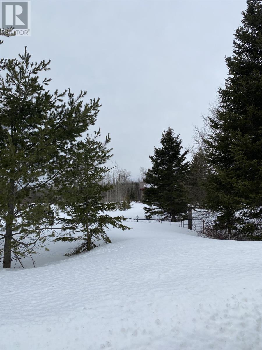 925 Hwy 593, Pardee Township, Ontario  P7L 0A2 - Photo 4 - TB253690