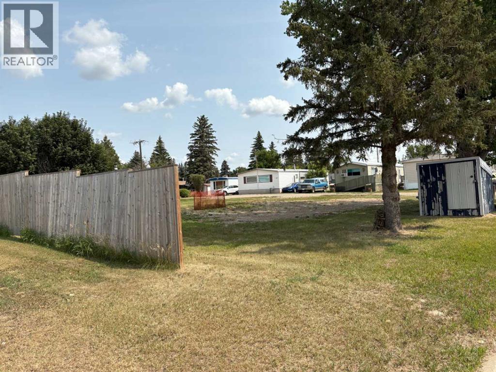 206 1st Avenue, Bassano, Alberta  T0J 0B0 - Photo 4 - A2336843