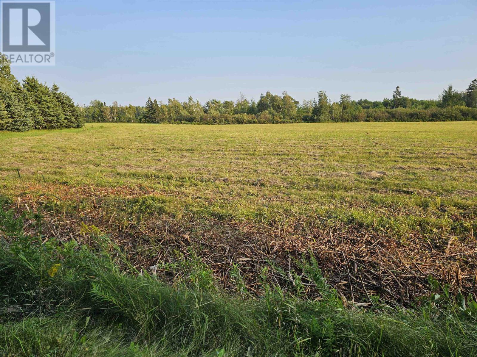 Acreage Route 2, Carleton, Prince Edward Island  C0B 1H0 - Photo 6 - 202611868