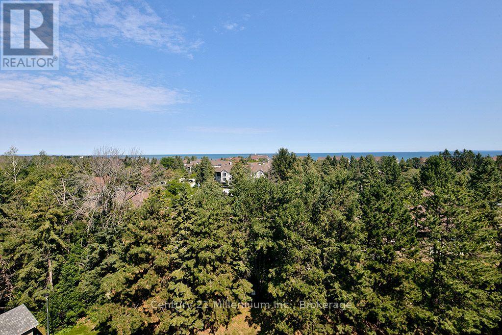 802 - 24 Ramblings Way, Collingwood, Ontario  L9Y 5C6 - Photo 24 - S13668066