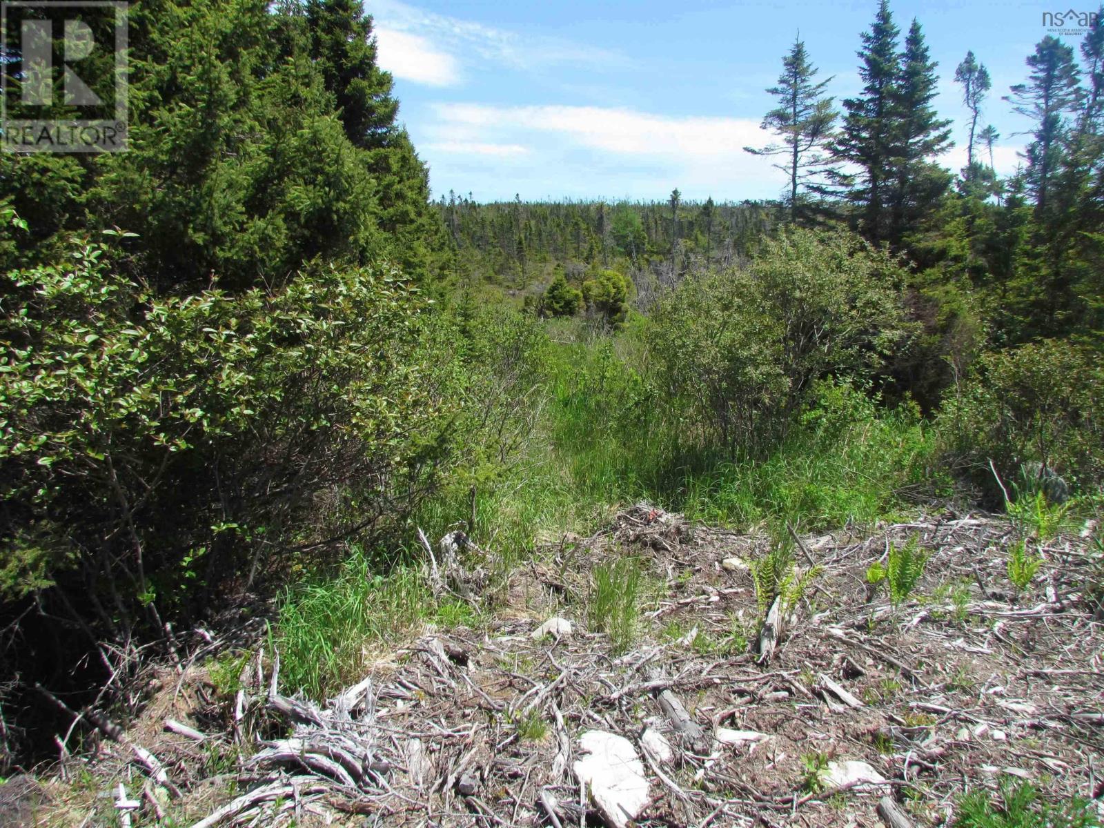 Lot R3 Three Fathom Harbour Road, Three Fathom Harbour, Nova Scotia  B0J 1N0 - Photo 8 - 202519260