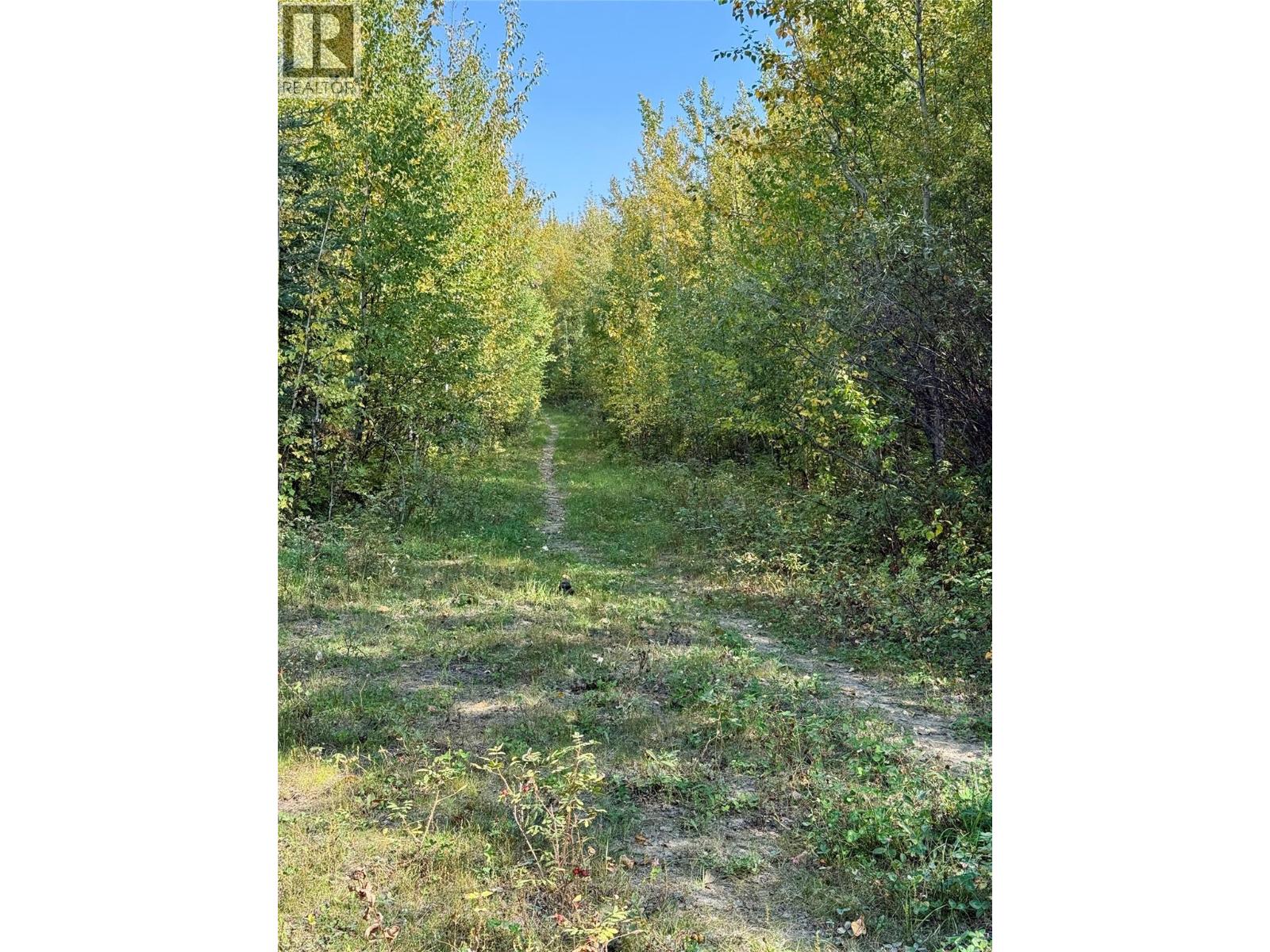 790/770 Jackfish Lake Road, Chetwynd, British Columbia  V0C 1J0 - Photo 46 - 10388534