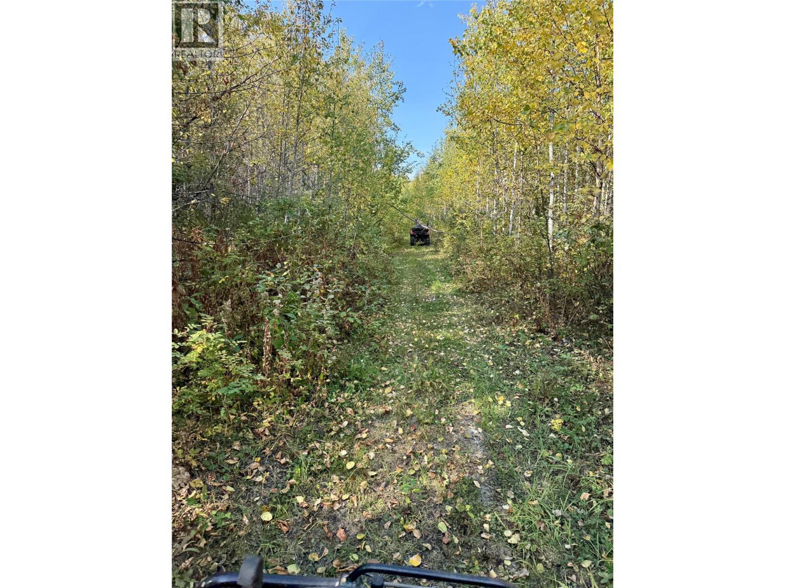 790/770 Jackfish Lake Road, Chetwynd, British Columbia  V0C 1J0 - Photo 47 - 10388534