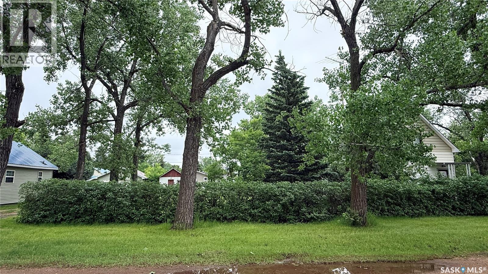 503 Montgomery Street, Midale, Saskatchewan  S0C 1S0 - Photo 2 - SK045291