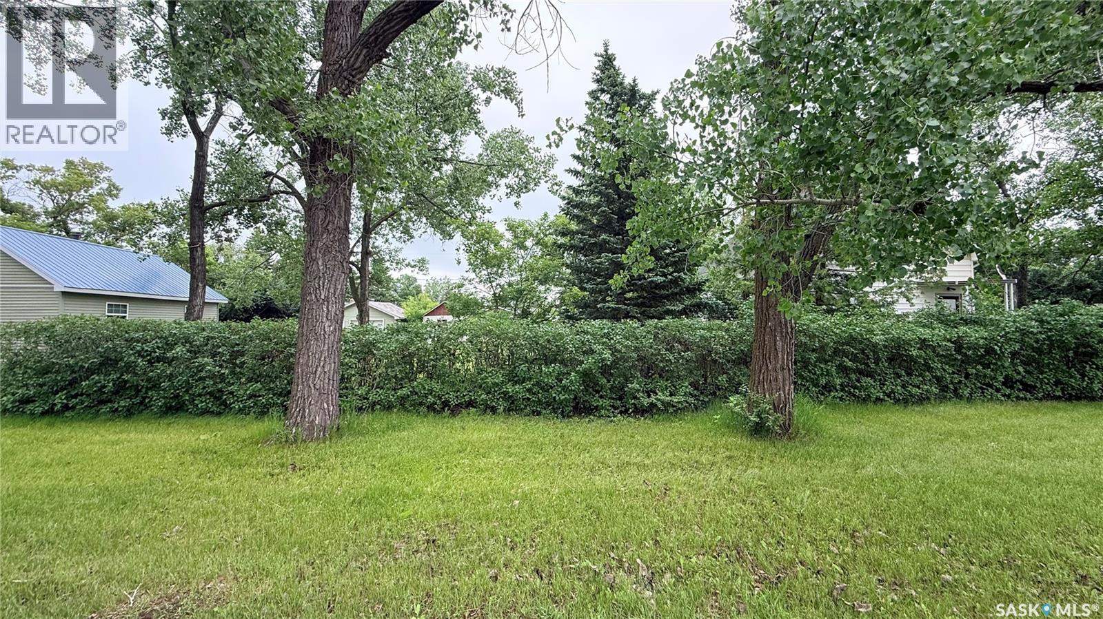 503 Montgomery Street, Midale, Saskatchewan  S0C 1S0 - Photo 3 - SK045291