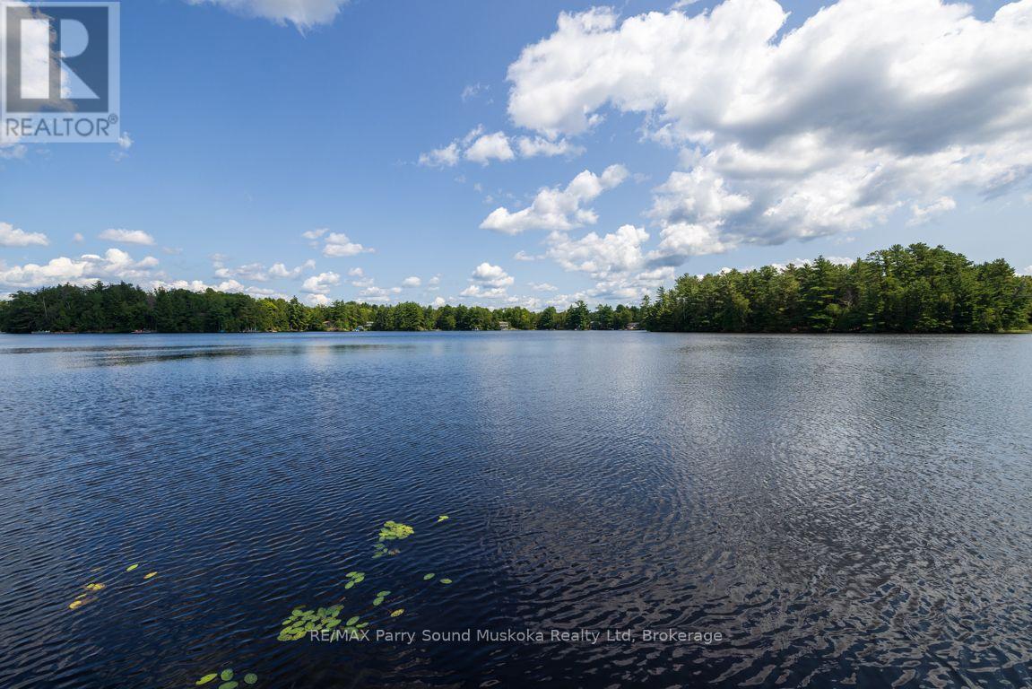 18 Maple Trail, Mcdougall, Ontario  P2A 2W7 - Photo 46 - X13668384