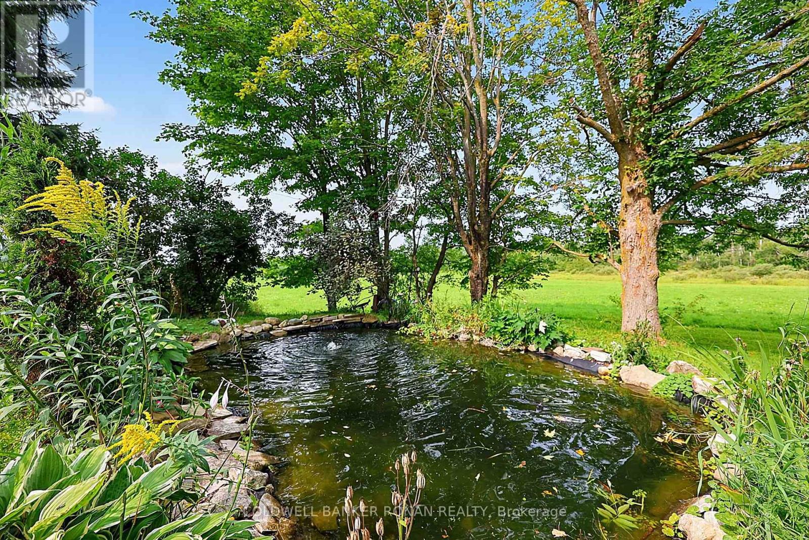 239198 County Road 2, Melancthon, Ontario  L9V 2J5 - Photo 42 - X13668424