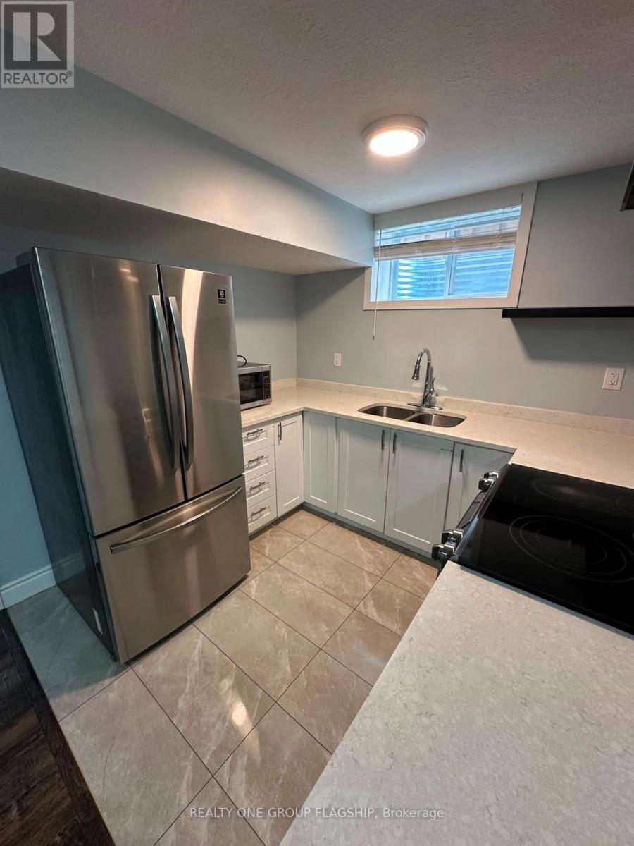 Basement - 218 Tremaine Crescent, Kitchener, Ontario  N2A 4L9 - Photo 7 - X13443712
