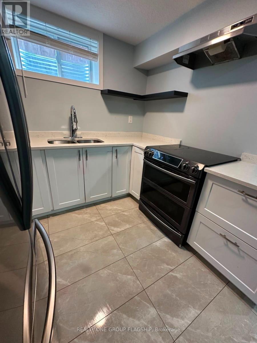 Basement - 218 Tremaine Crescent, Kitchener, Ontario  N2A 4L9 - Photo 4 - X13443712