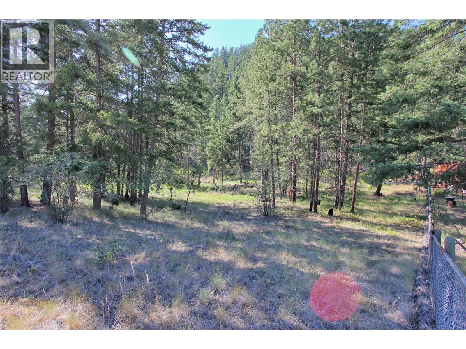 Lot 1 Old Hedley Road, Princeton, British Columbia  V0X 1W0 - Photo 10 - 10397641