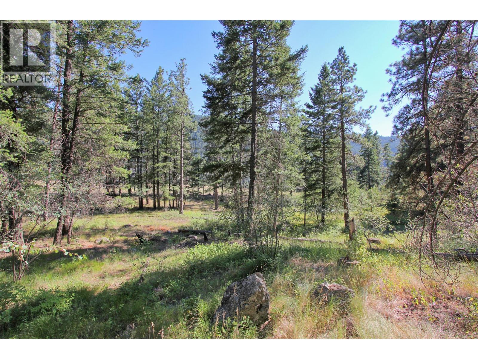 Lot 1 Old Hedley Road, Princeton, British Columbia  V0X 1W0 - Photo 12 - 10397641