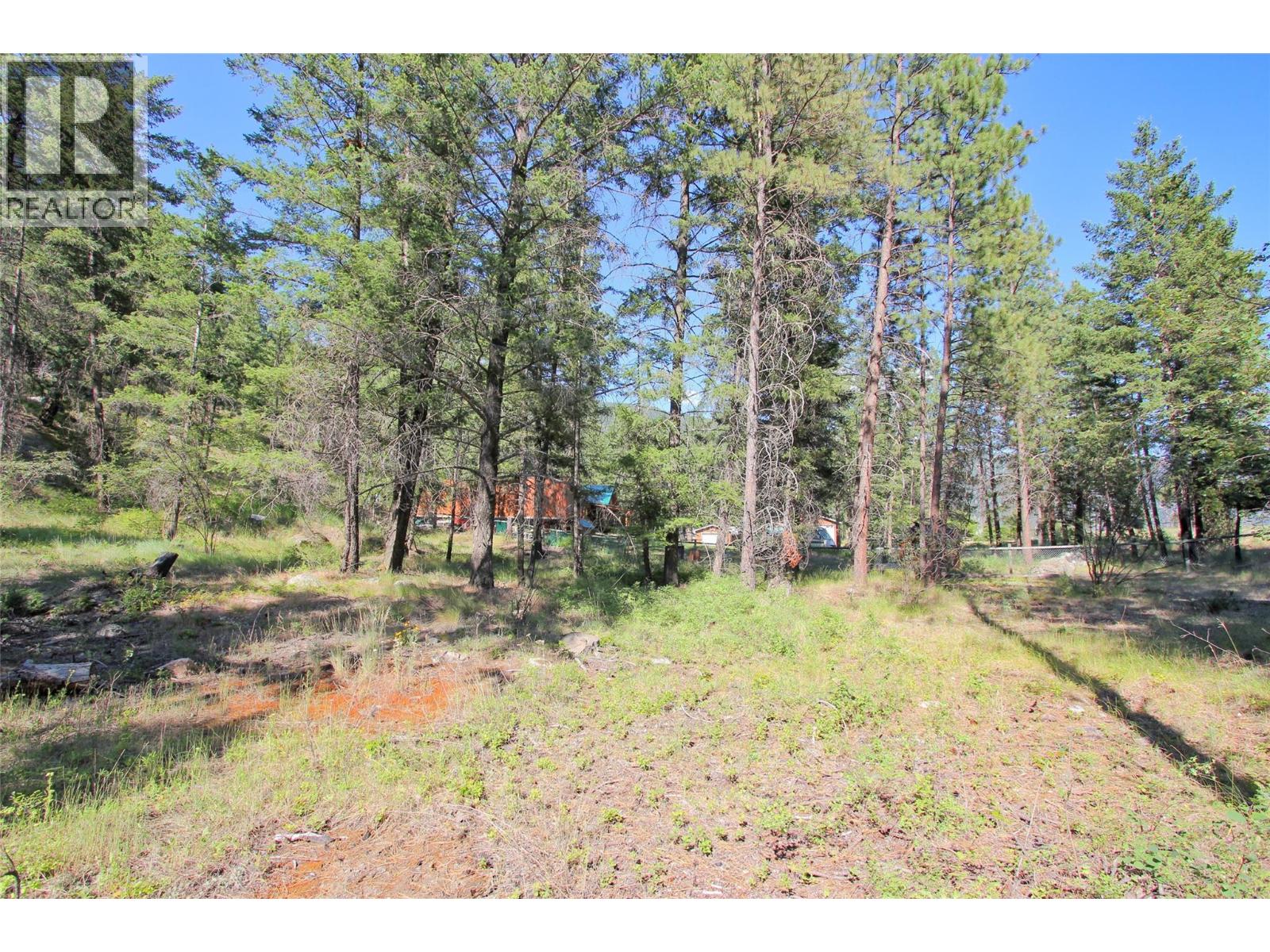 Lot 1 Old Hedley Road, Princeton, British Columbia  V0X 1W0 - Photo 13 - 10397641