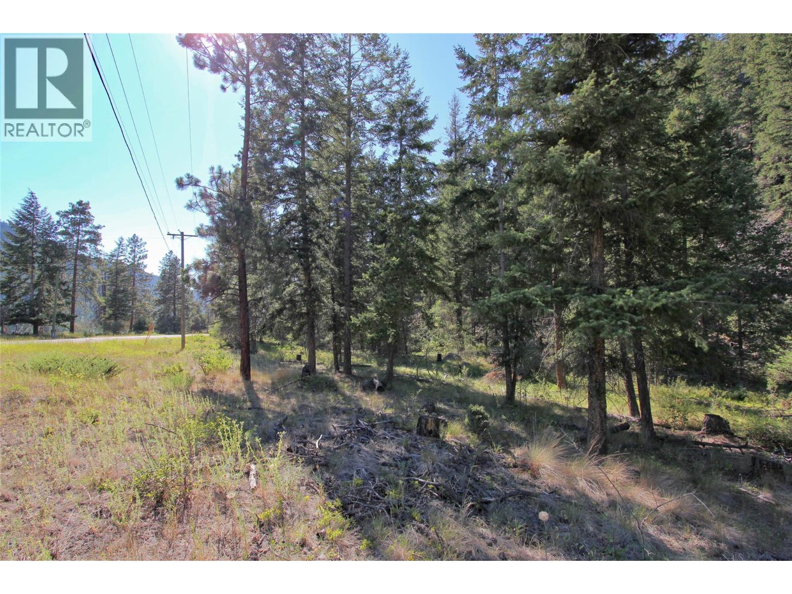 Lot 1 Old Hedley Road, Princeton, British Columbia  V0X 1W0 - Photo 14 - 10397641