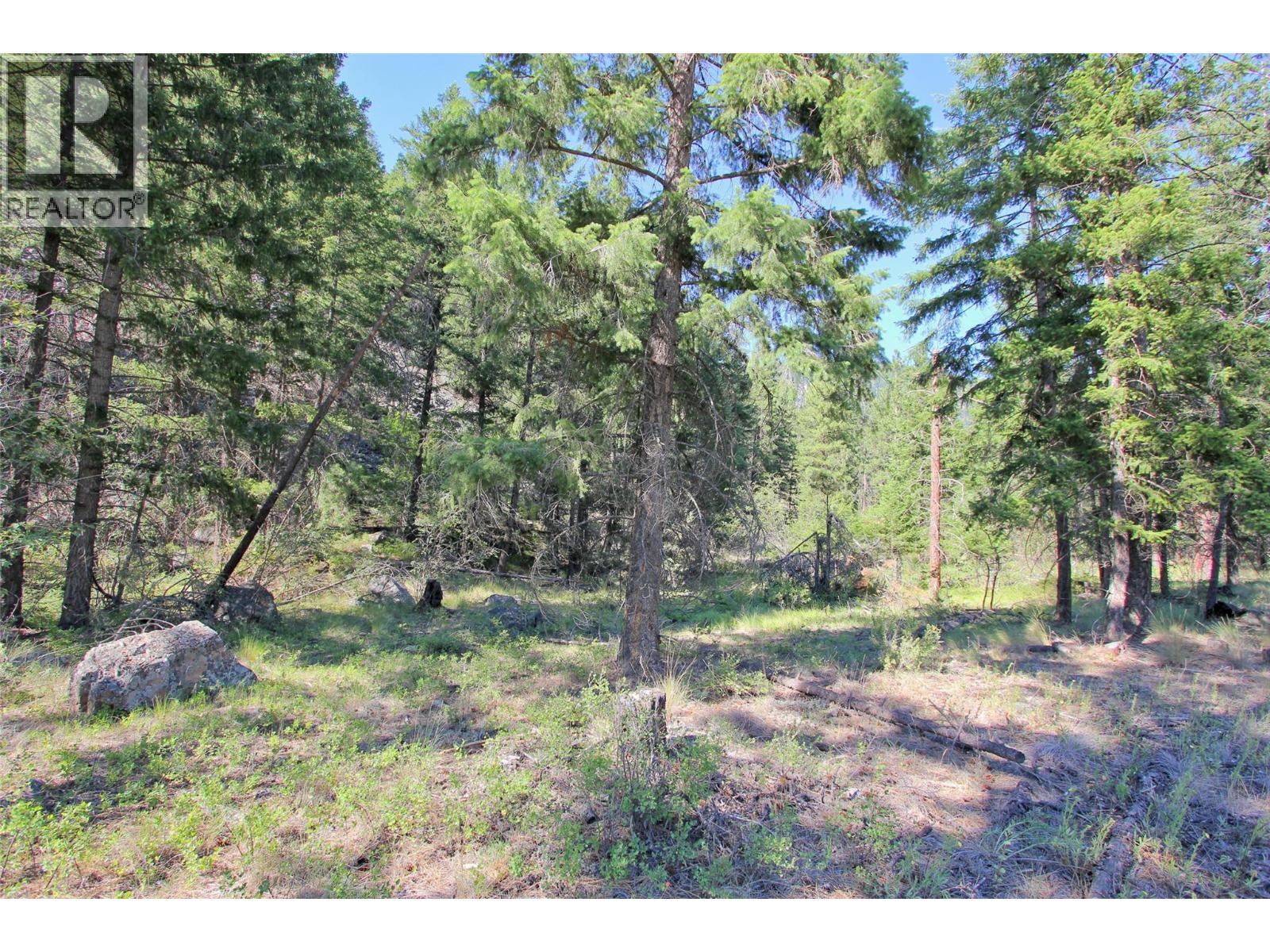 Lot 1 Old Hedley Road, Princeton, British Columbia  V0X 1W0 - Photo 16 - 10397641