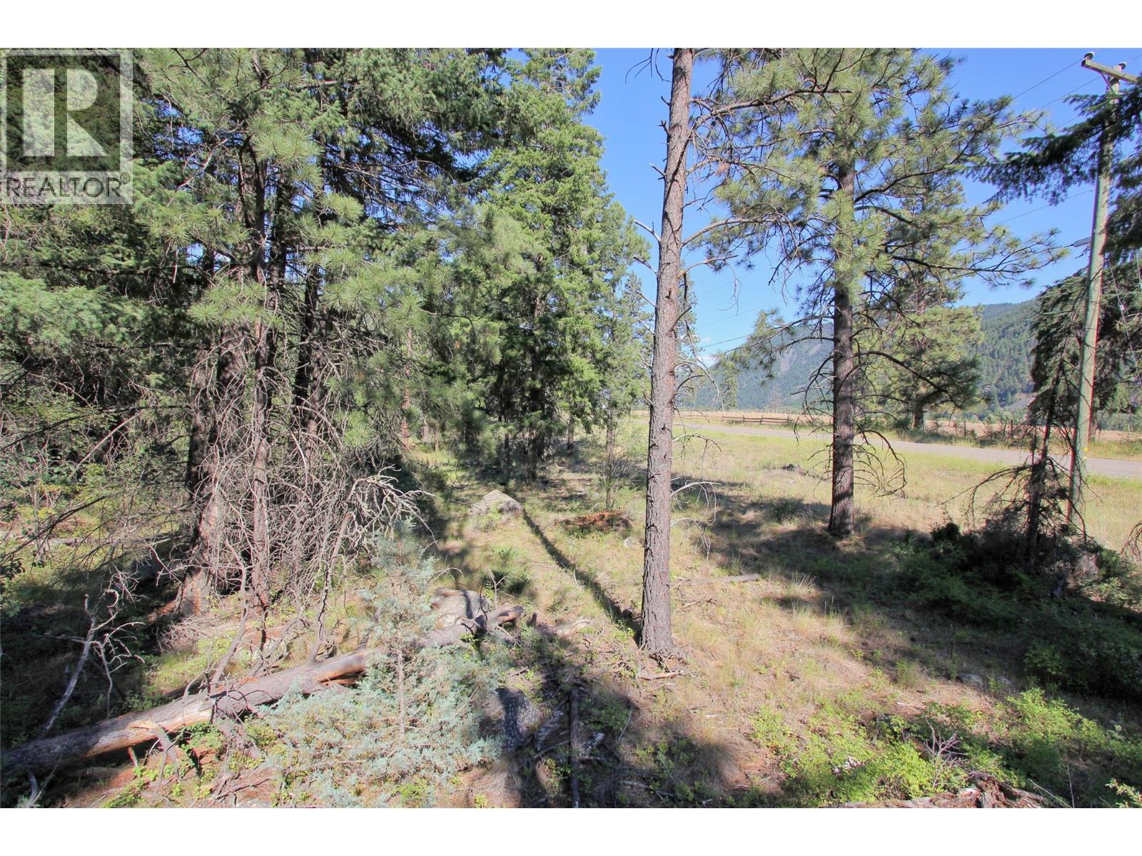 Lot 1 Old Hedley Road, Princeton, British Columbia  V0X 1W0 - Photo 18 - 10397641