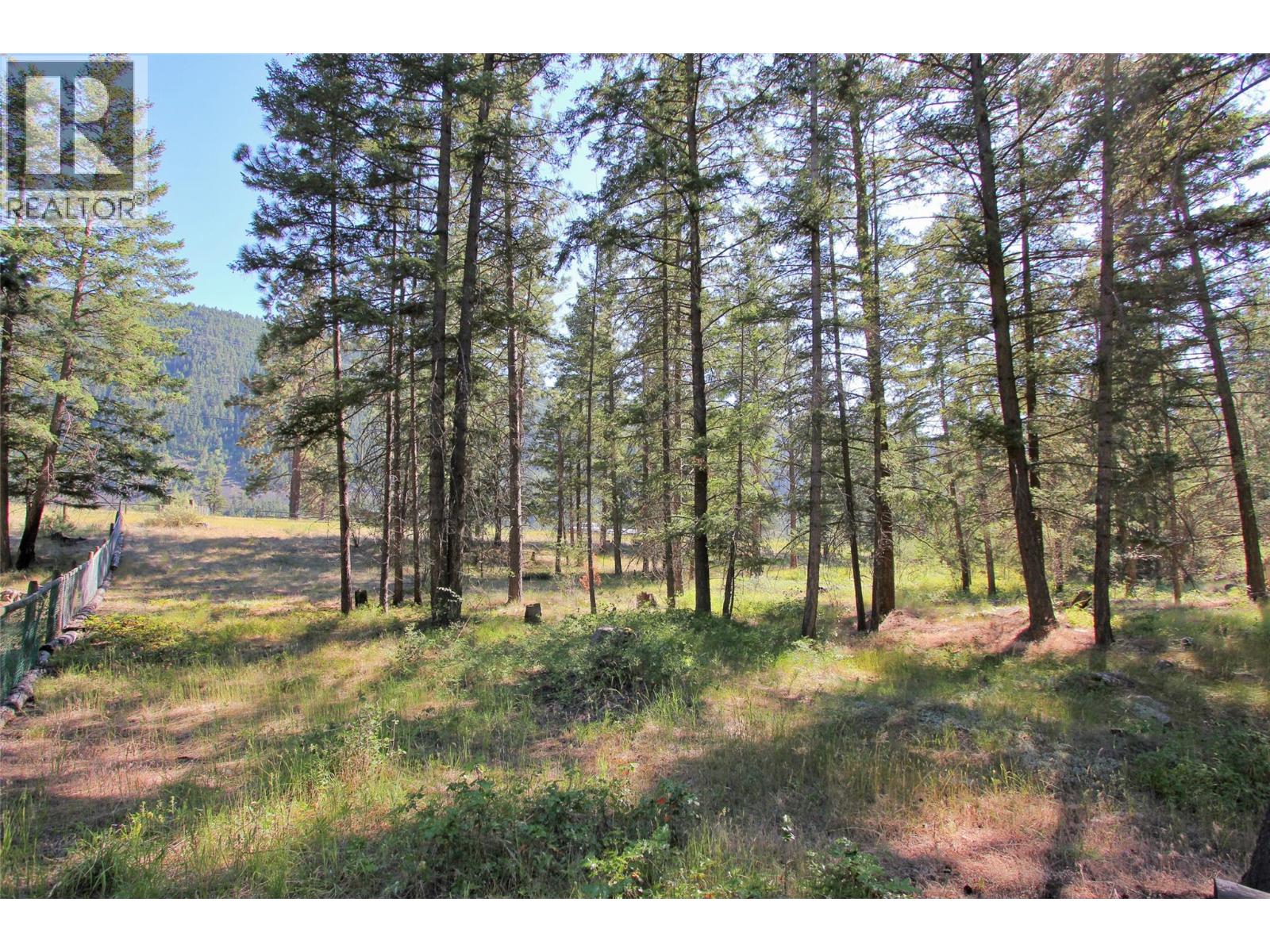 Lot 1 Old Hedley Road, Princeton, British Columbia  V0X 1W0 - Photo 2 - 10397641