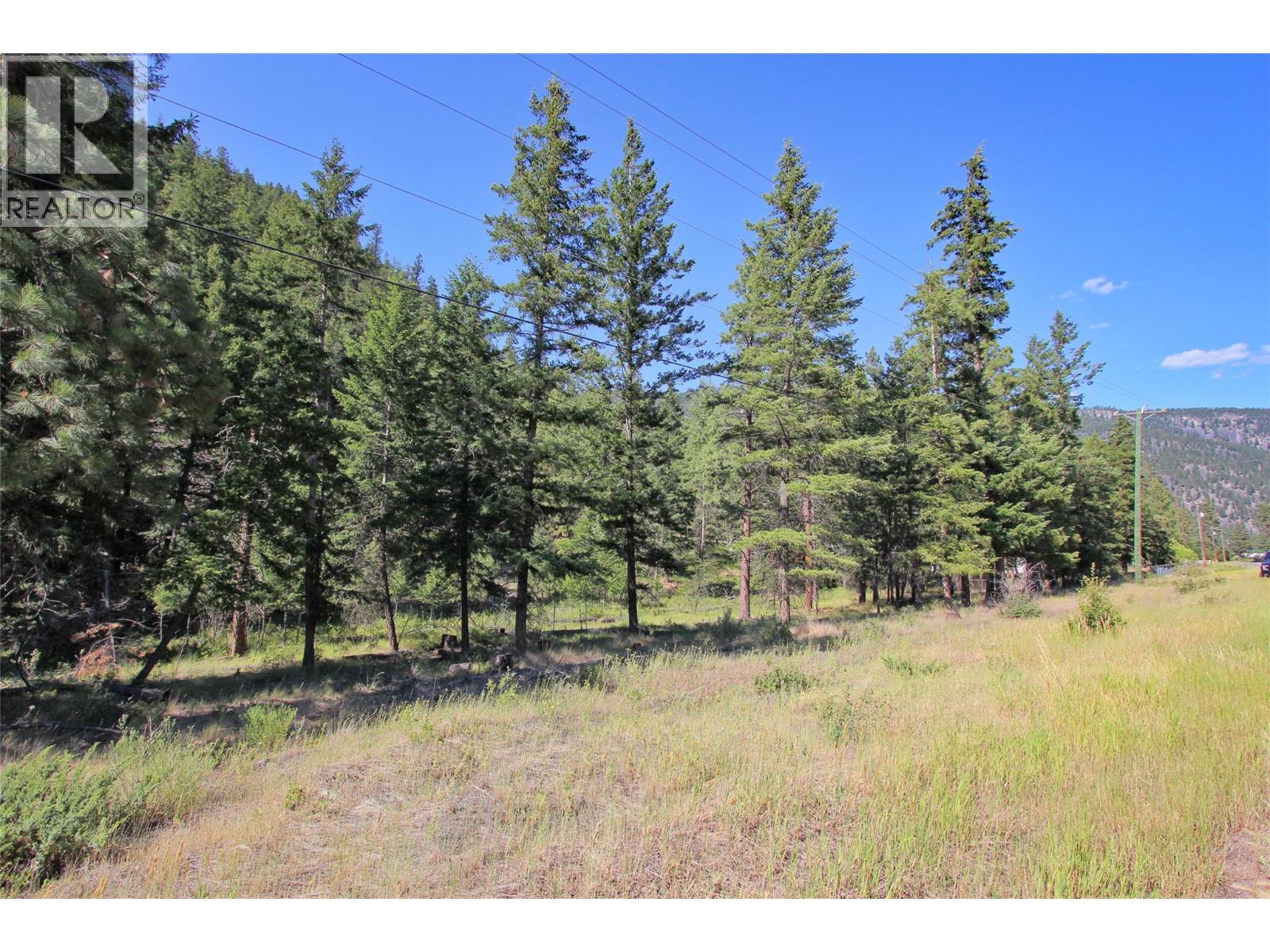 Lot 1 Old Hedley Road, Princeton, British Columbia  V0X 1W0 - Photo 24 - 10397641