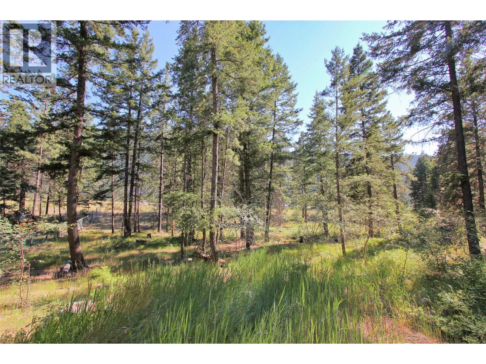 Lot 1 Old Hedley Road, Princeton, British Columbia  V0X 1W0 - Photo 3 - 10397641
