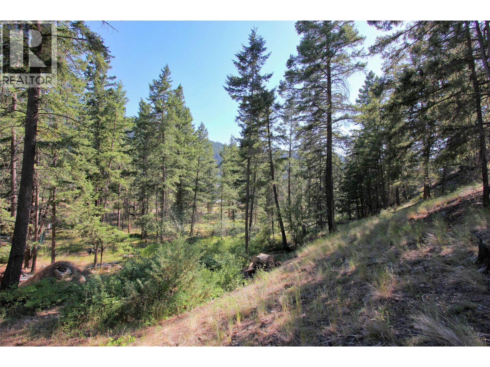 Lot 1 Old Hedley Road, Princeton, British Columbia  V0X 1W0 - Photo 4 - 10397641