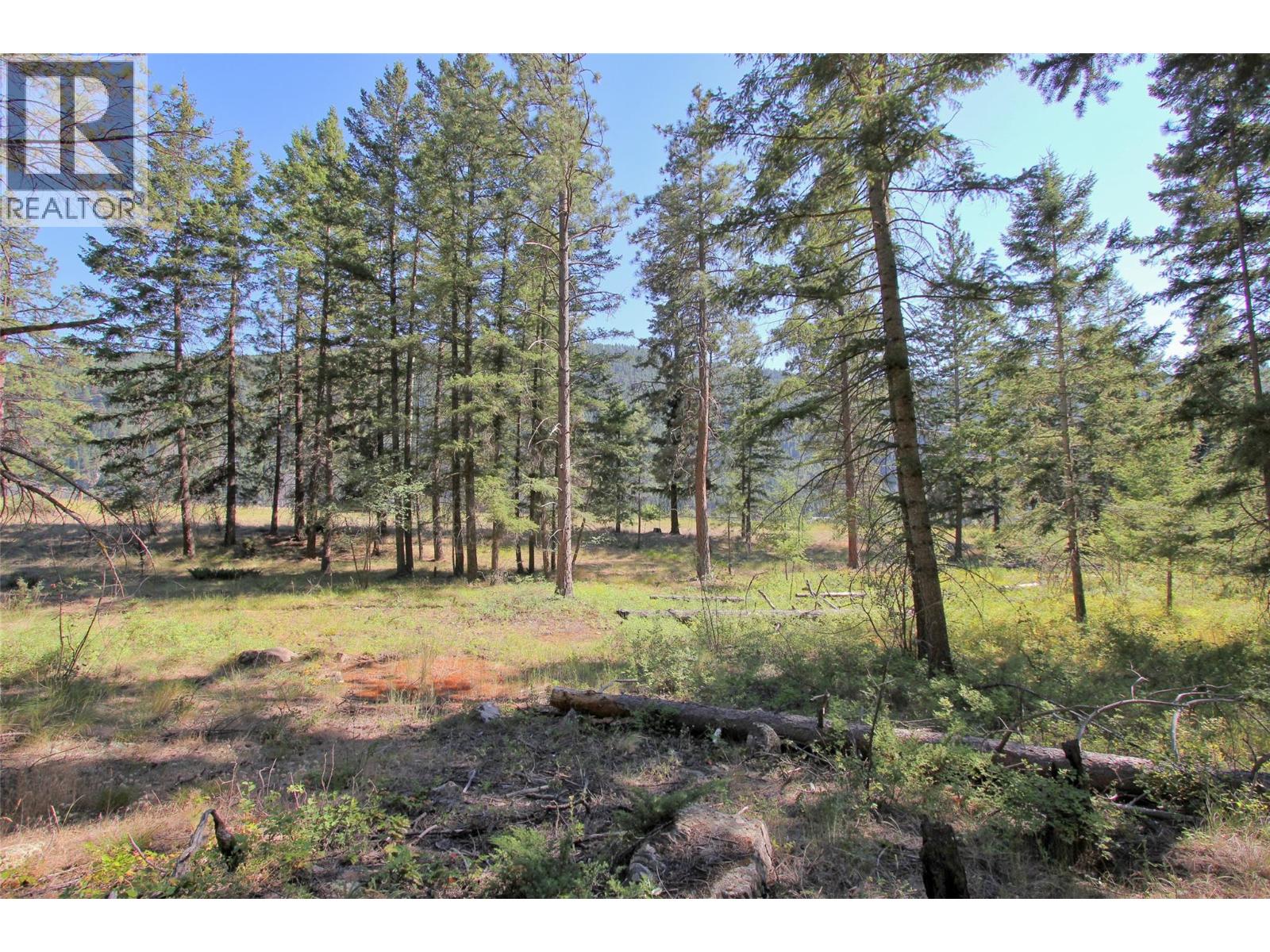 Lot 1 Old Hedley Road, Princeton, British Columbia  V0X 1W0 - Photo 5 - 10397641