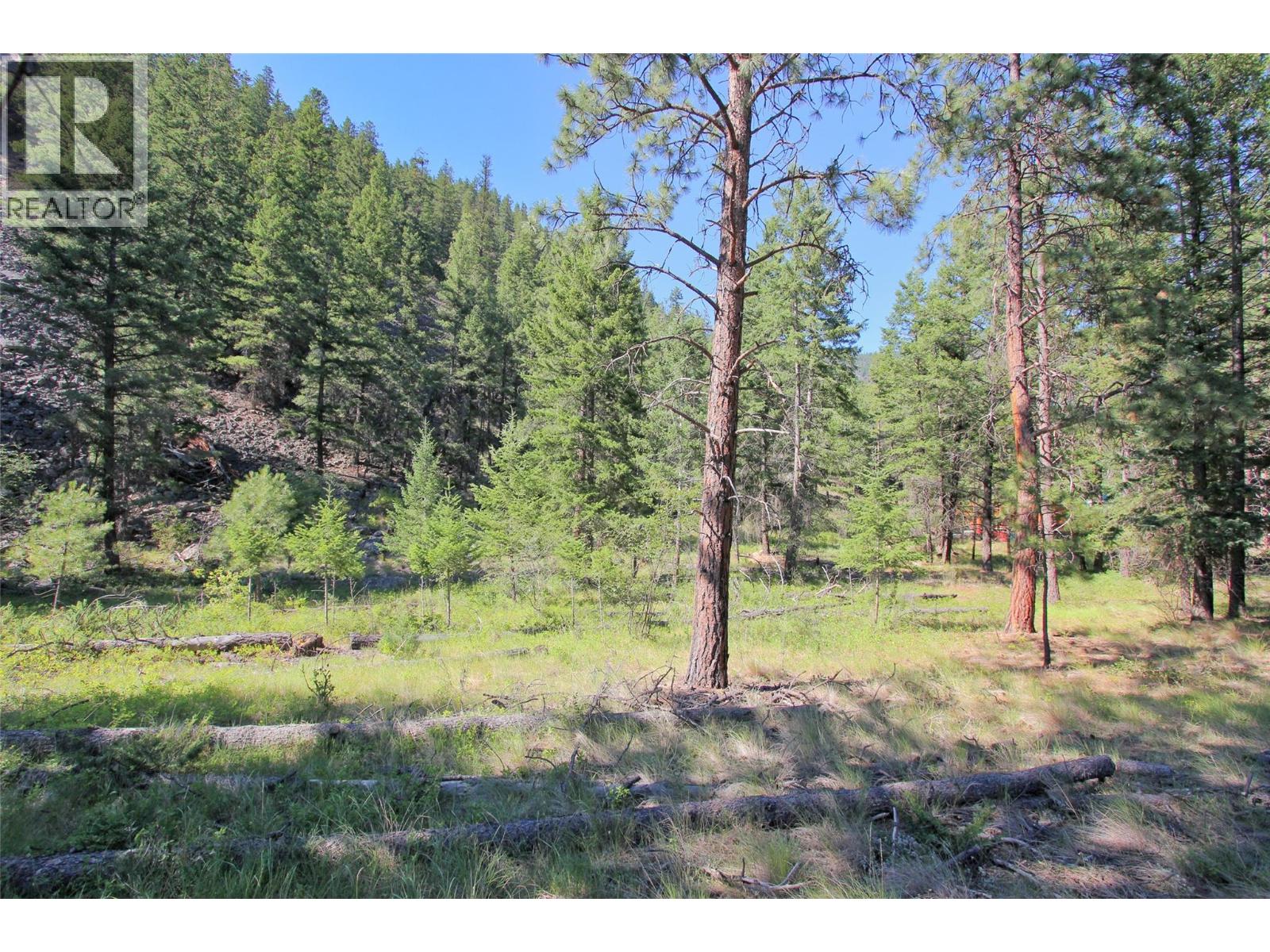 Lot 1 Old Hedley Road, Princeton, British Columbia  V0X 1W0 - Photo 6 - 10397641