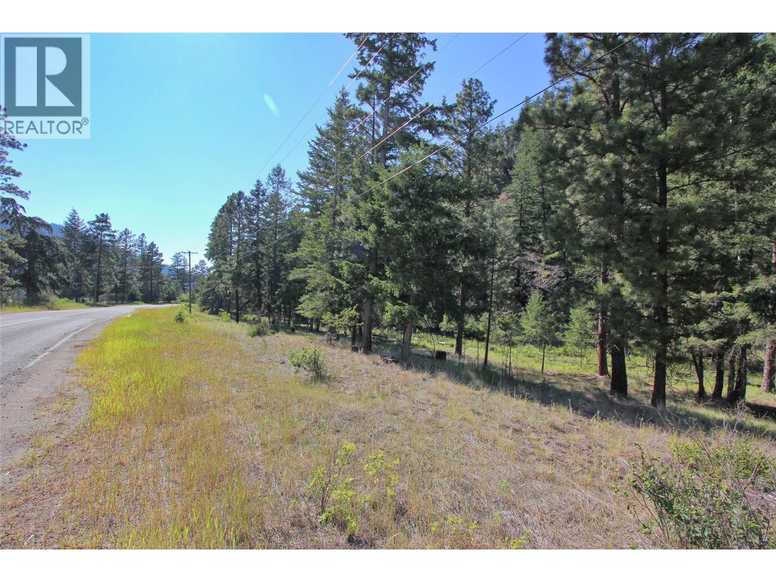 Lot 1 Old Hedley Road, Princeton, British Columbia  V0X 1W0 - Photo 7 - 10397641