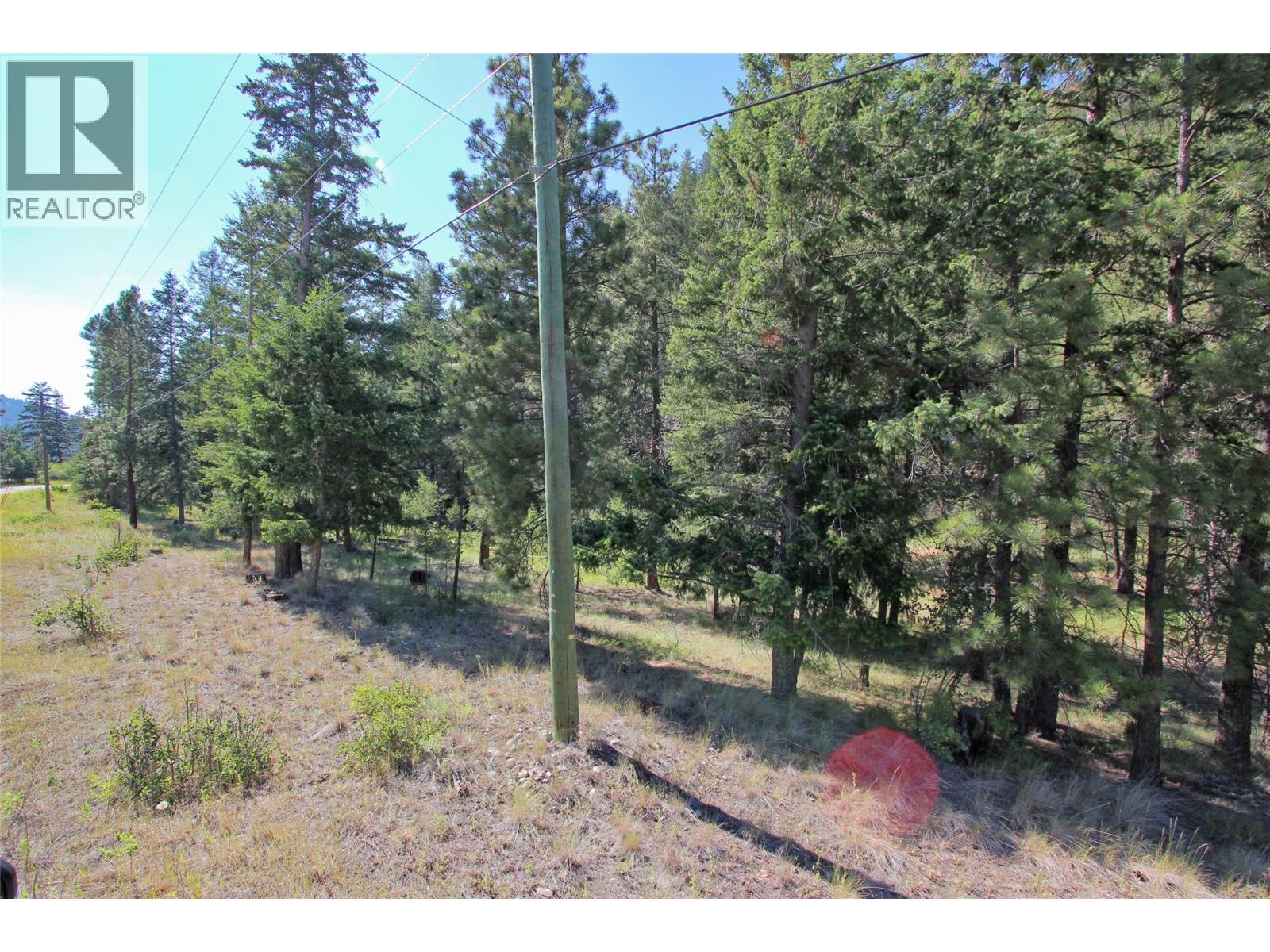 Lot 1 Old Hedley Road, Princeton, British Columbia  V0X 1W0 - Photo 8 - 10397641