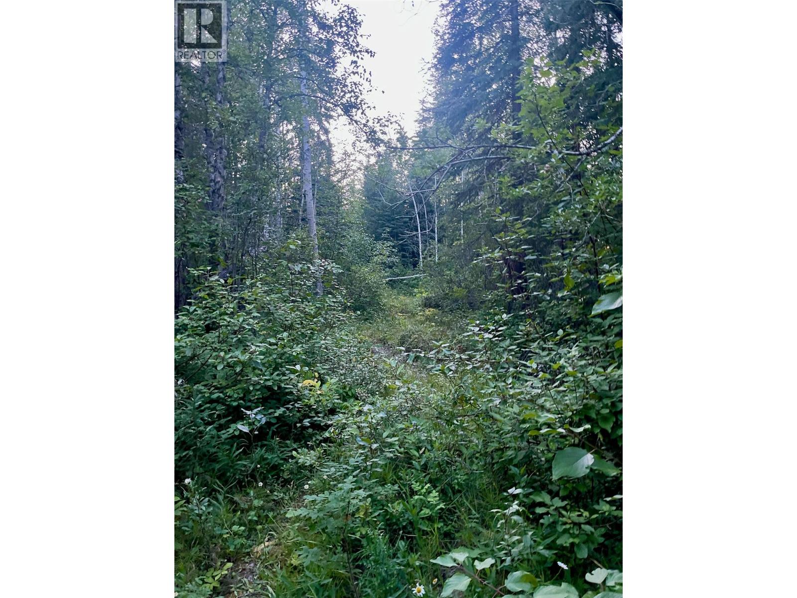 Lot 1 Neville Road, Golden, British Columbia  V0A 1H0 - Photo 13 - 10397262