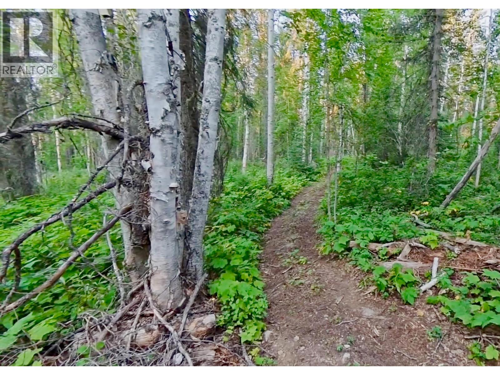 Lot 1 Neville Road, Golden, British Columbia  V0A 1H0 - Photo 17 - 10397262