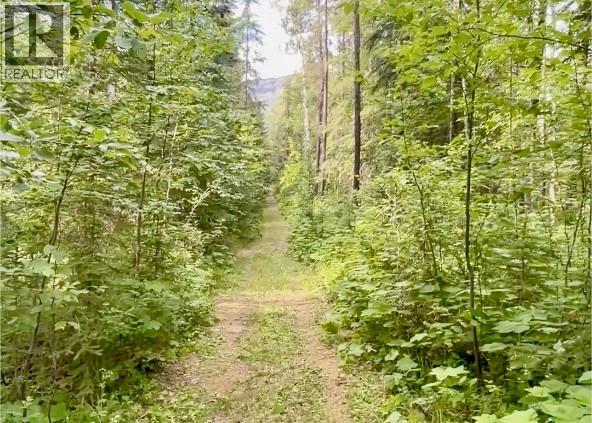 Lot 1 Neville Road, Golden, British Columbia  V0A 1H0 - Photo 5 - 10397262