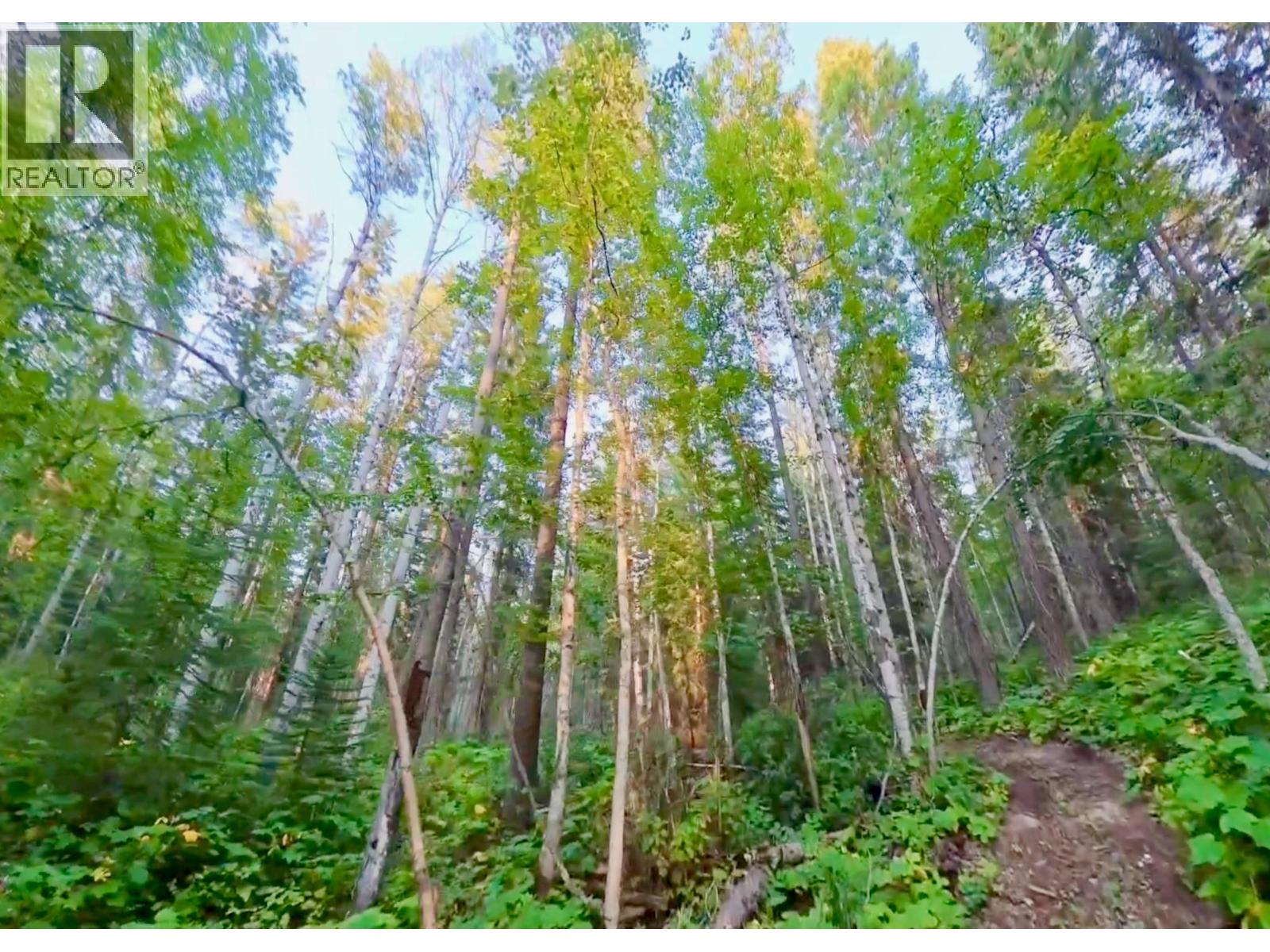 Lot 1 Neville Road, Golden, British Columbia  V0A 1H0 - Photo 18 - 10397262