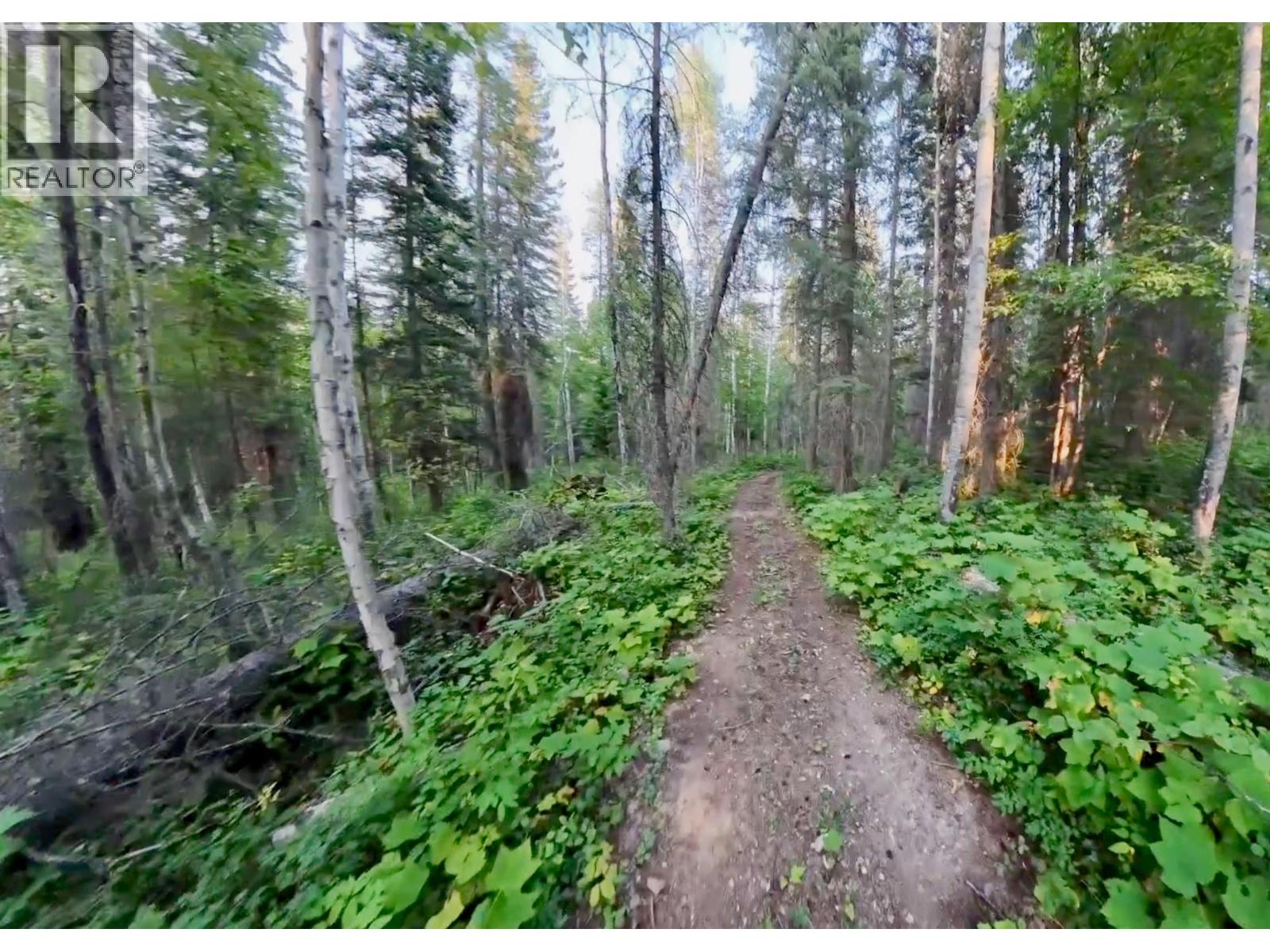 Lot 1 Neville Road, Golden, British Columbia  V0A 1H0 - Photo 19 - 10397262
