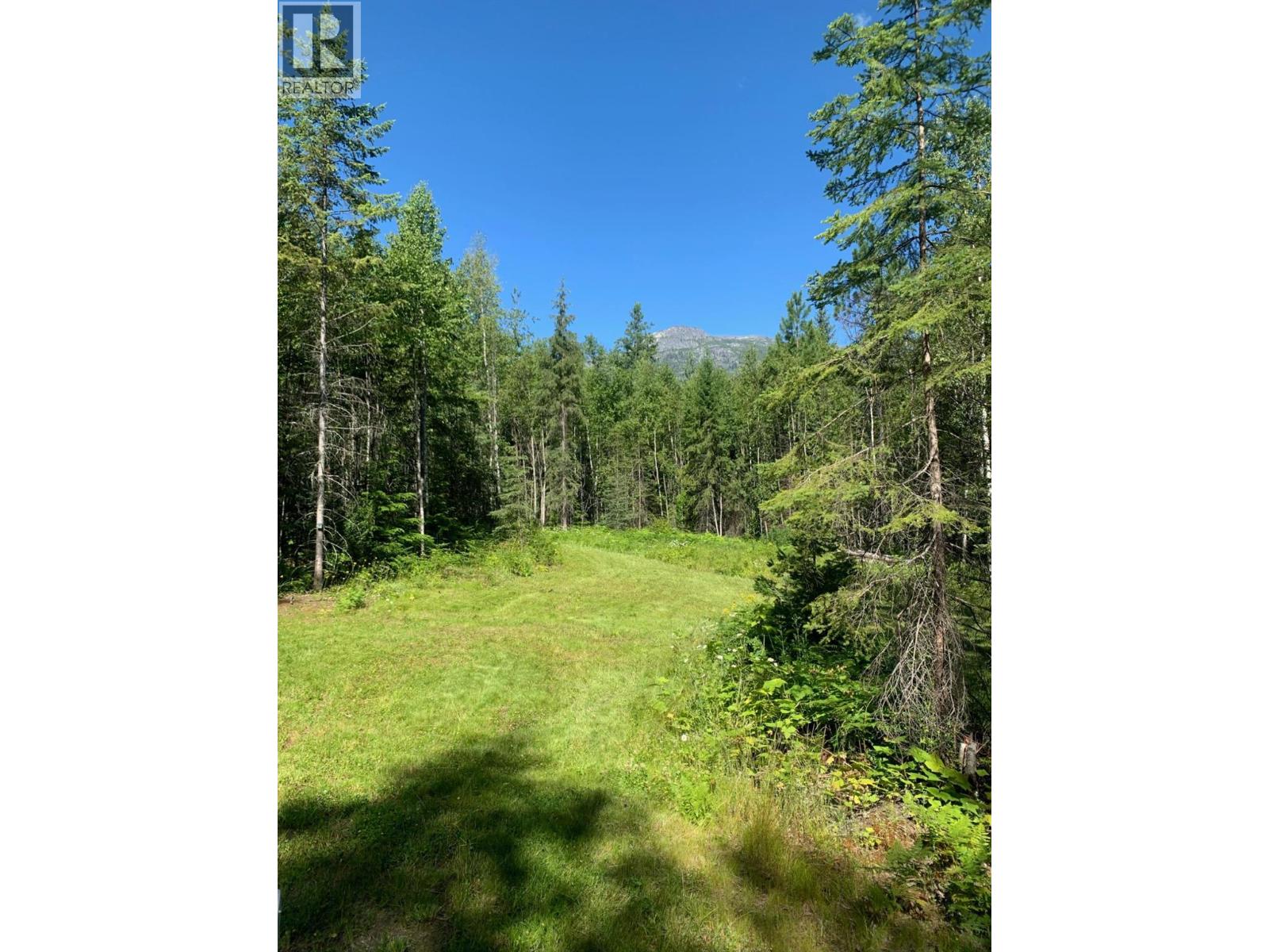 Lot 11 Mccormack Road, Burton, British Columbia  V0G 1E0 - Photo 5 - 10379137