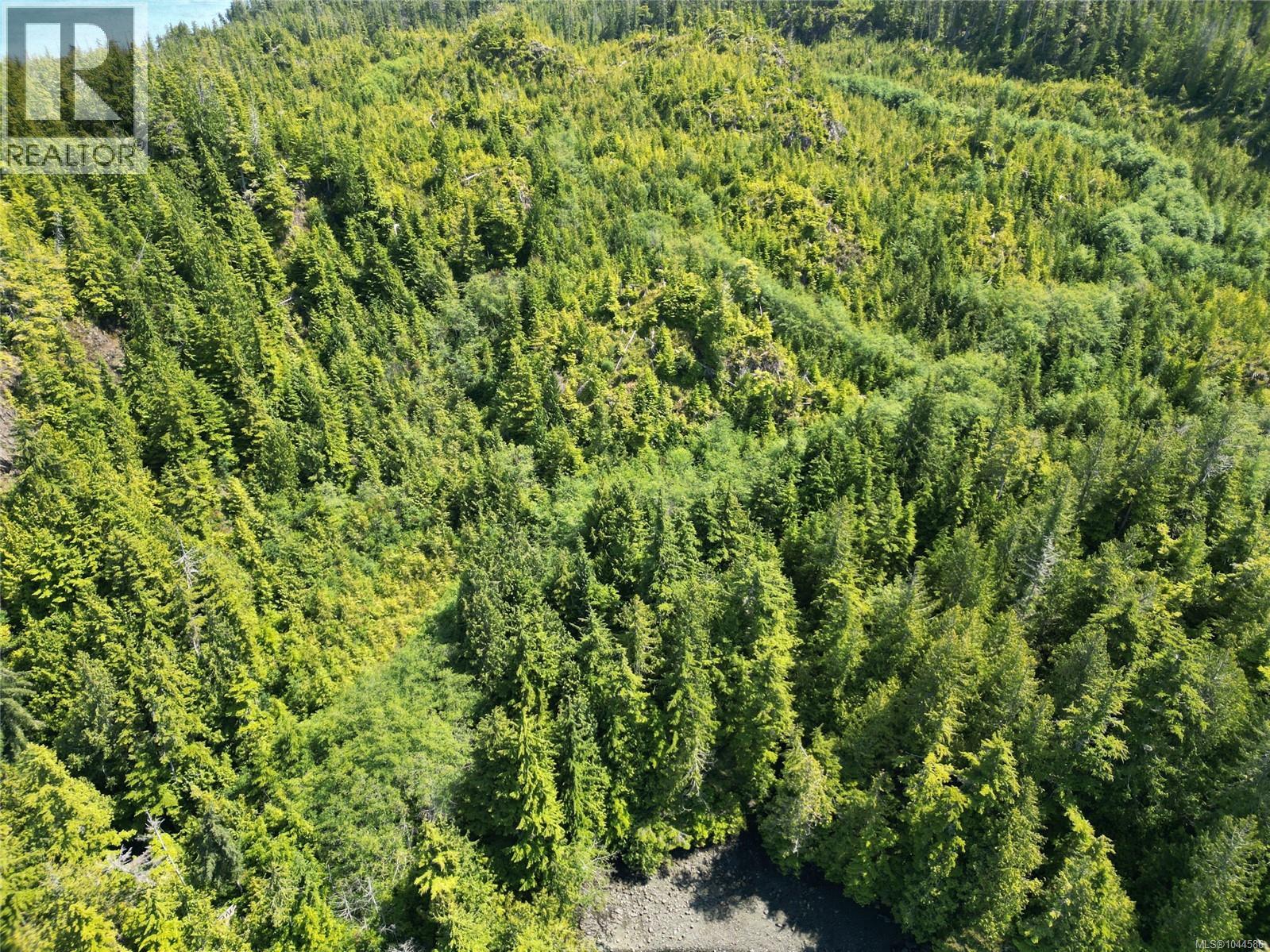 Block C Shushartie Bay, Port Hardy, British Columbia  V0N 2P0 - Photo 4 - 1044586