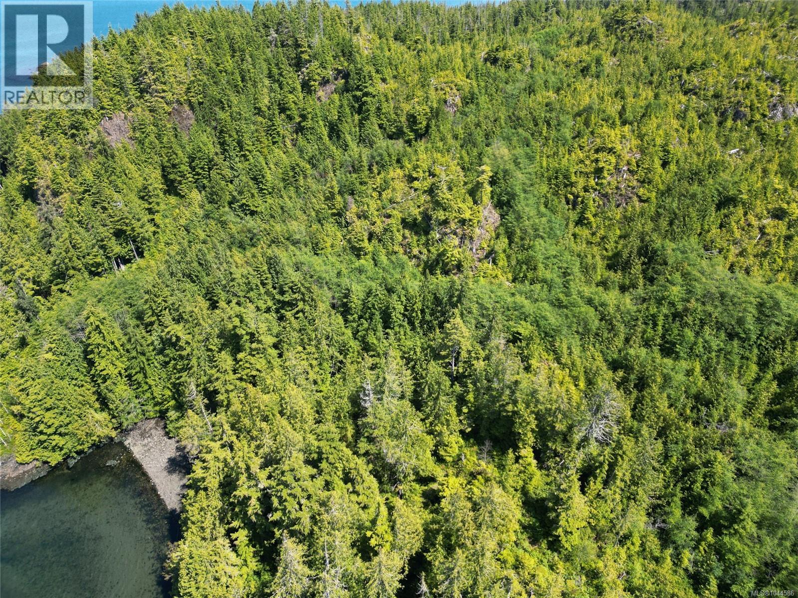 Block C Shushartie Bay, Port Hardy, British Columbia  V0N 2P0 - Photo 5 - 1044586