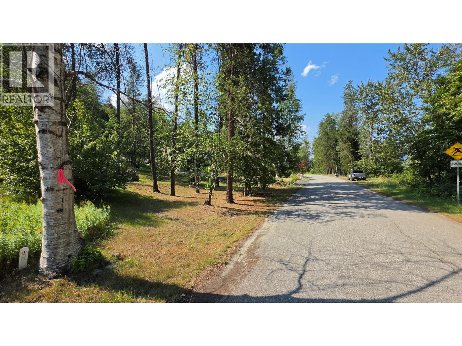 3108 1st Avenue, Castlegar, British Columbia  V1N 2R3 - Photo 13 - 10395317