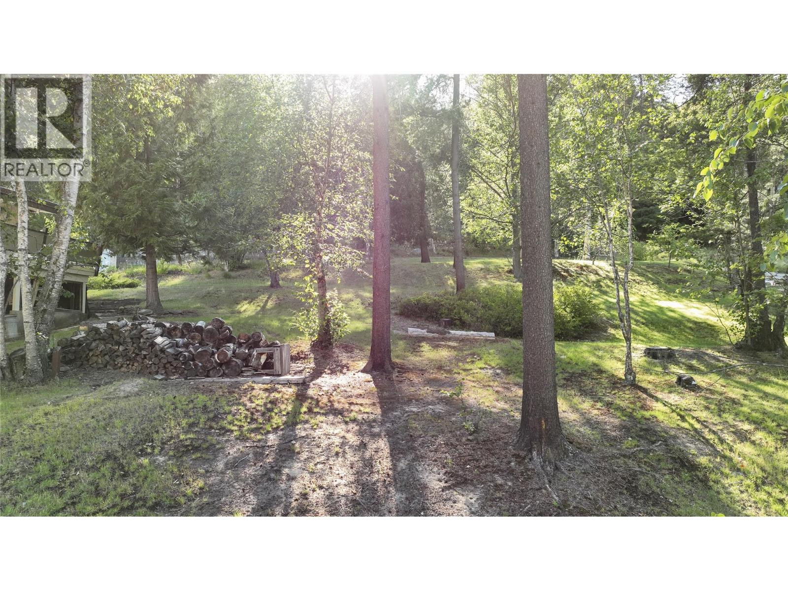 3108 1st Avenue, Castlegar, British Columbia  V1N 2R3 - Photo 3 - 10395317
