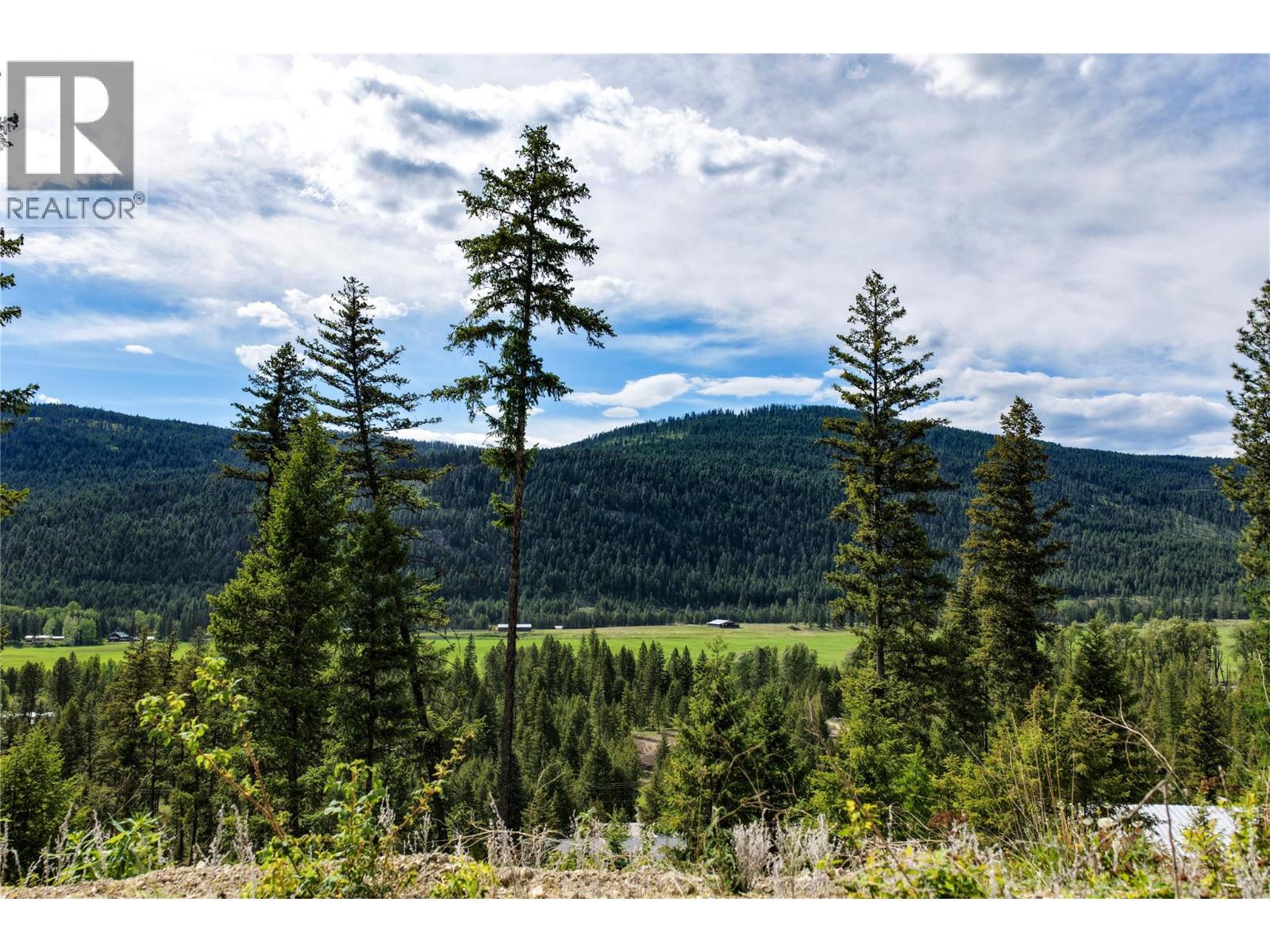 5550 Highway 33 Highway, Beaverdell, British Columbia  V0H 1A0 - Photo 41 - 10389548