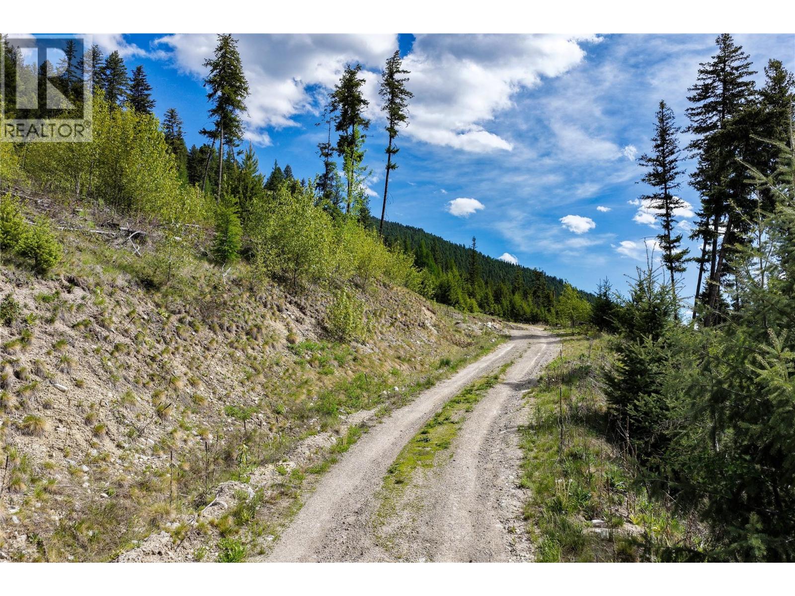 5550 Highway 33 Highway, Beaverdell, British Columbia  V0H 1A0 - Photo 36 - 10389548