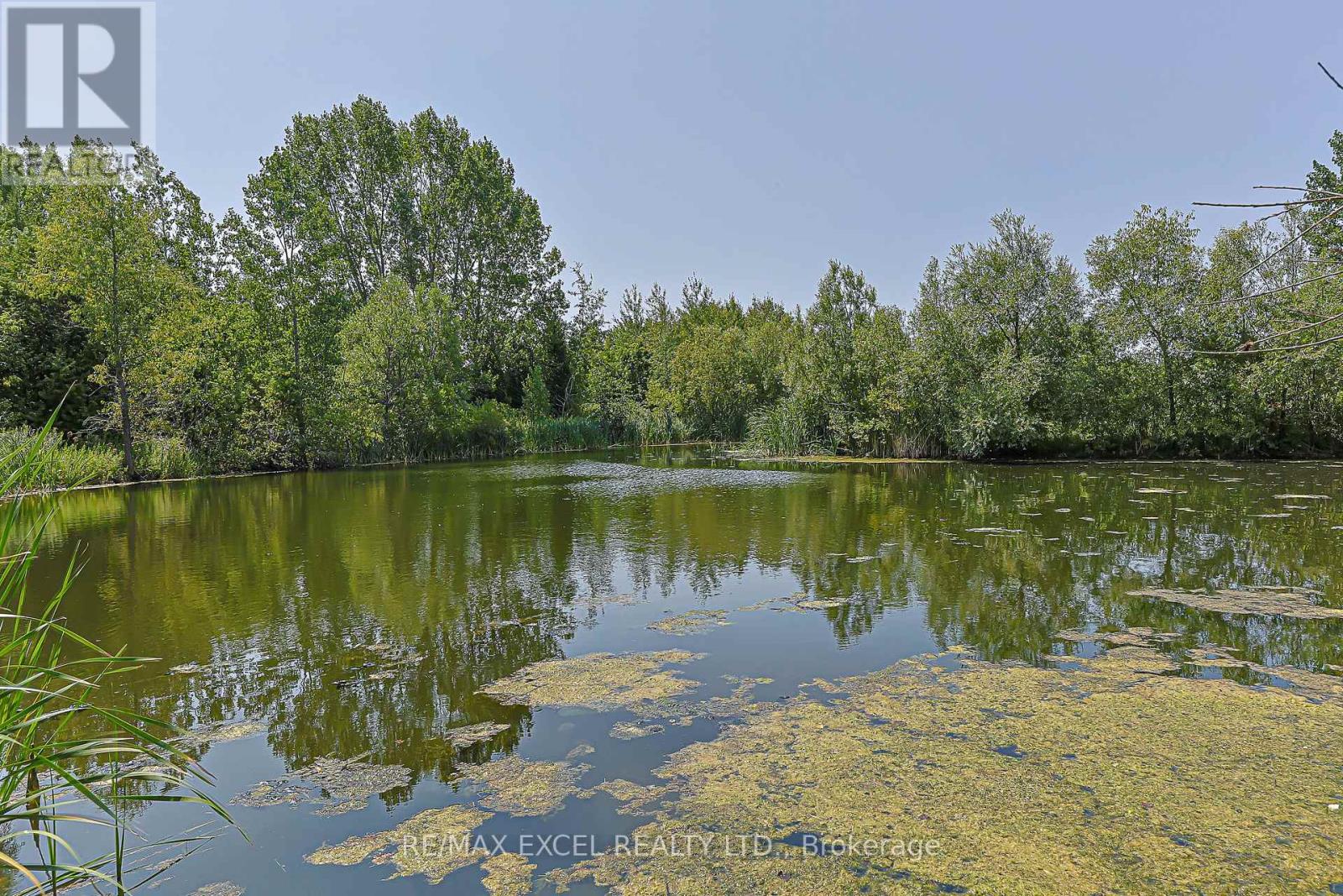 173 Selwyn Road, Richmond Hill, Ontario  L4E 5E6 - Photo 35 - N13669130