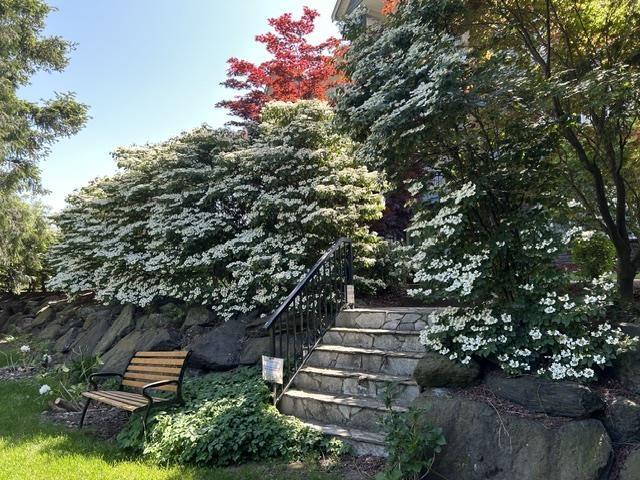 picture 36