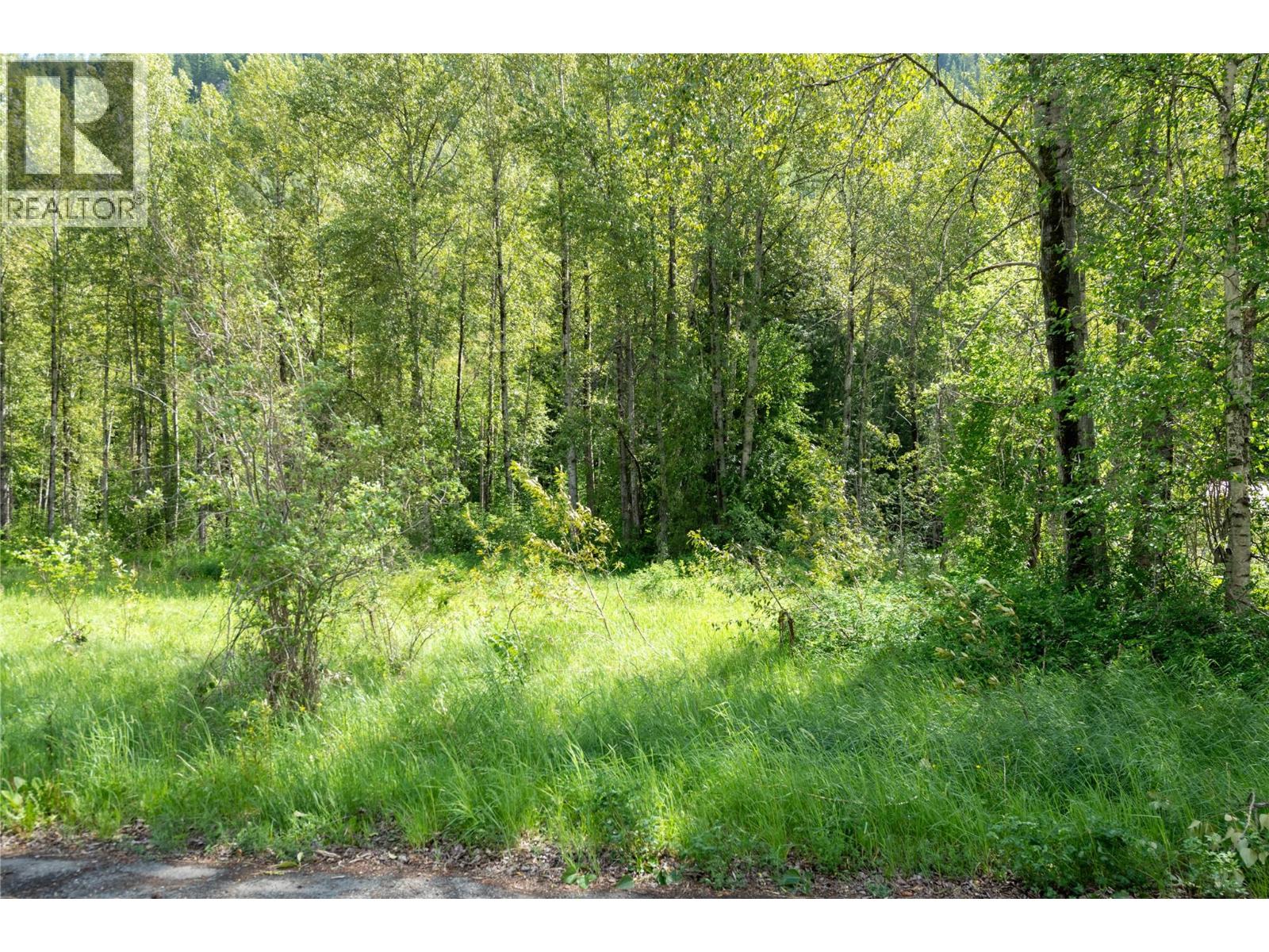 Airport Road Lot# 38, Salmo, British Columbia  V0G 1Z0 - Photo 10 - 10391609